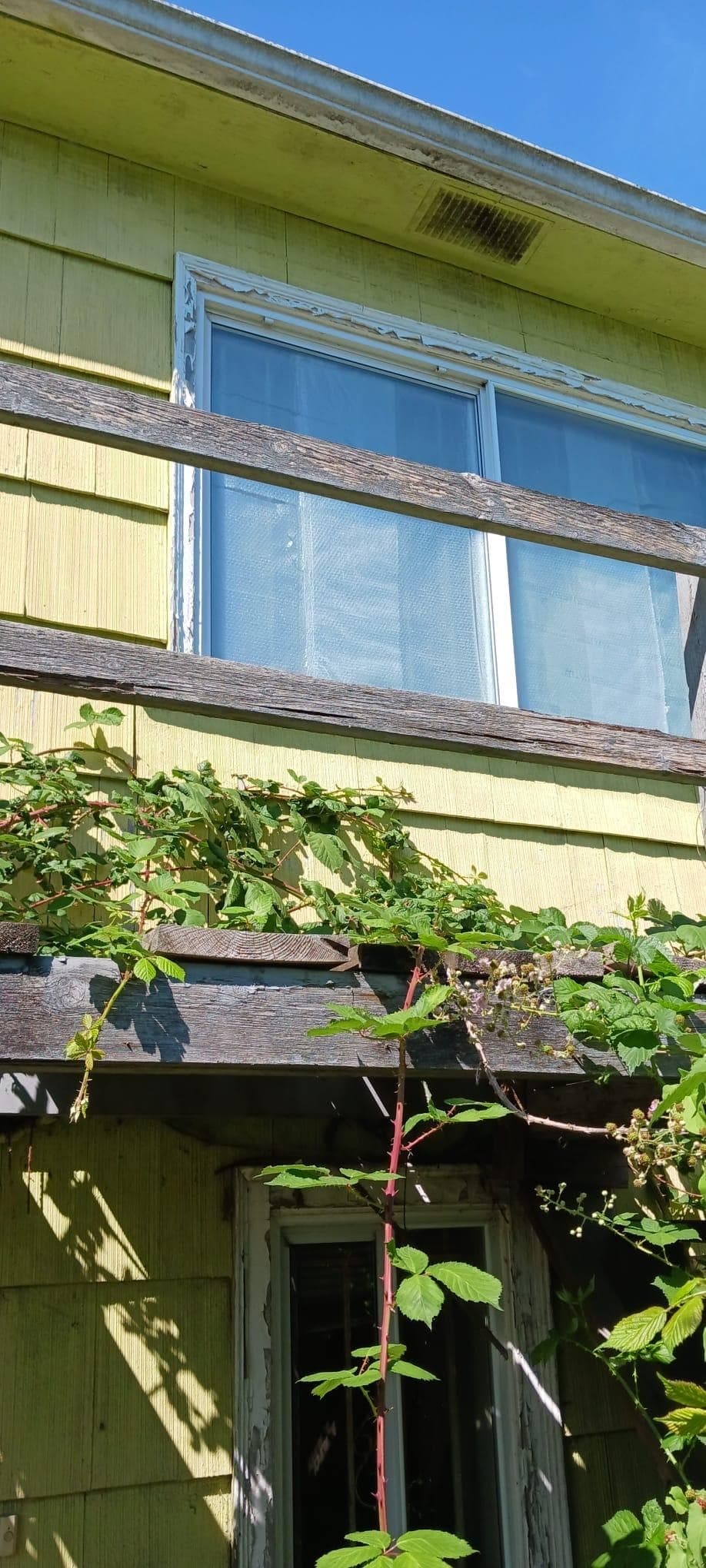 1824 E 11th Avenue, Vancouver, V5N 1Z1 — photo 2
