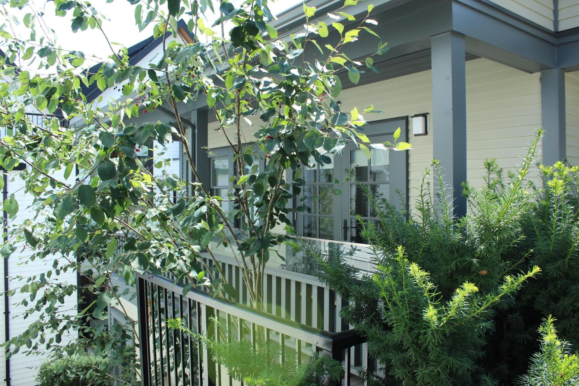 202 - 1306 Laval Square, Coquitlam, V3K 0H4 — photo 2