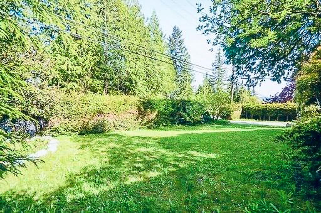 3129 Princess Avenue, North Vancouver, V7N 2E3 — photo 4