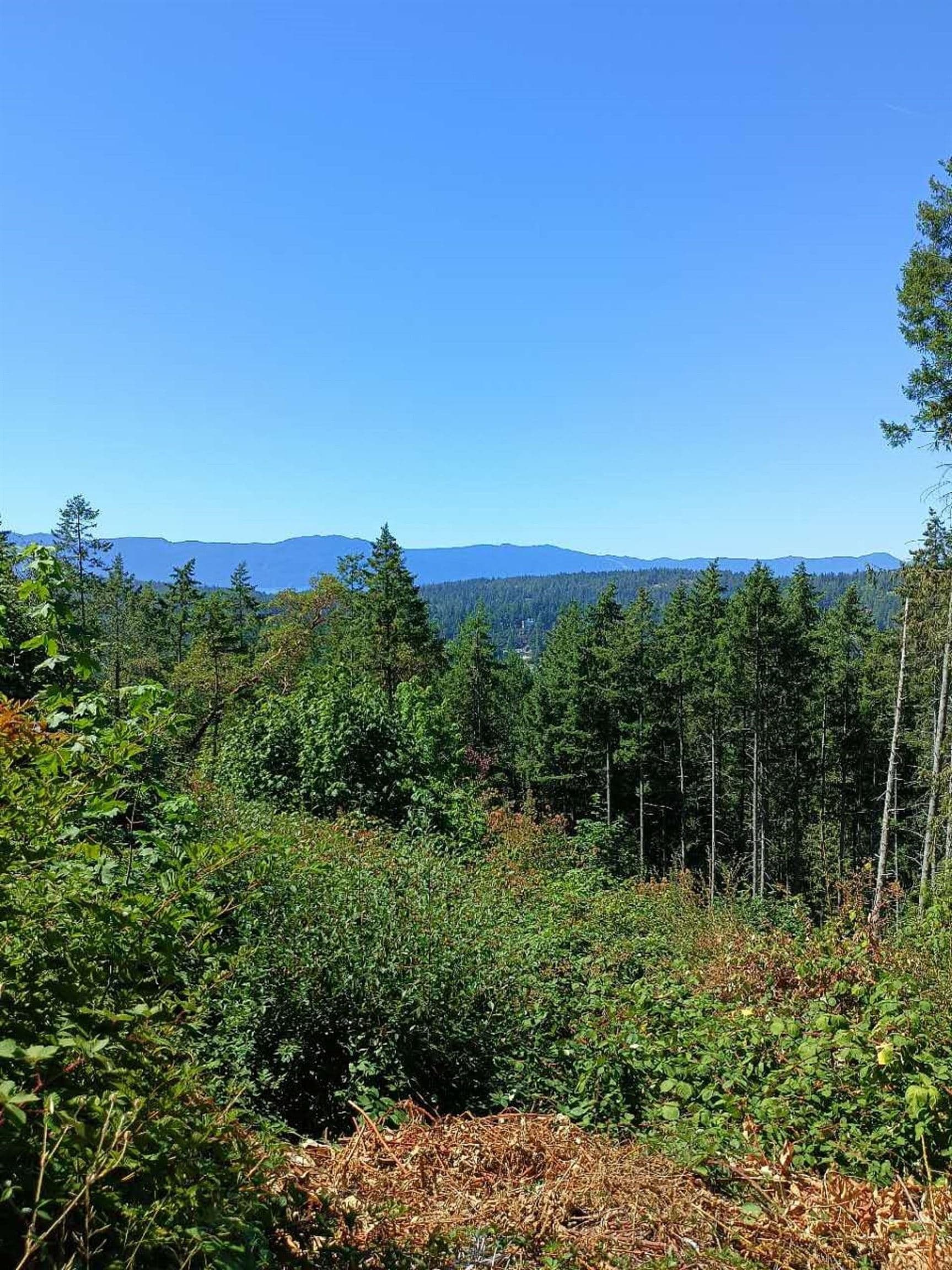 LOT 57 Gulfview Road, Pender Harbour, V0N 2H0 — photo 5