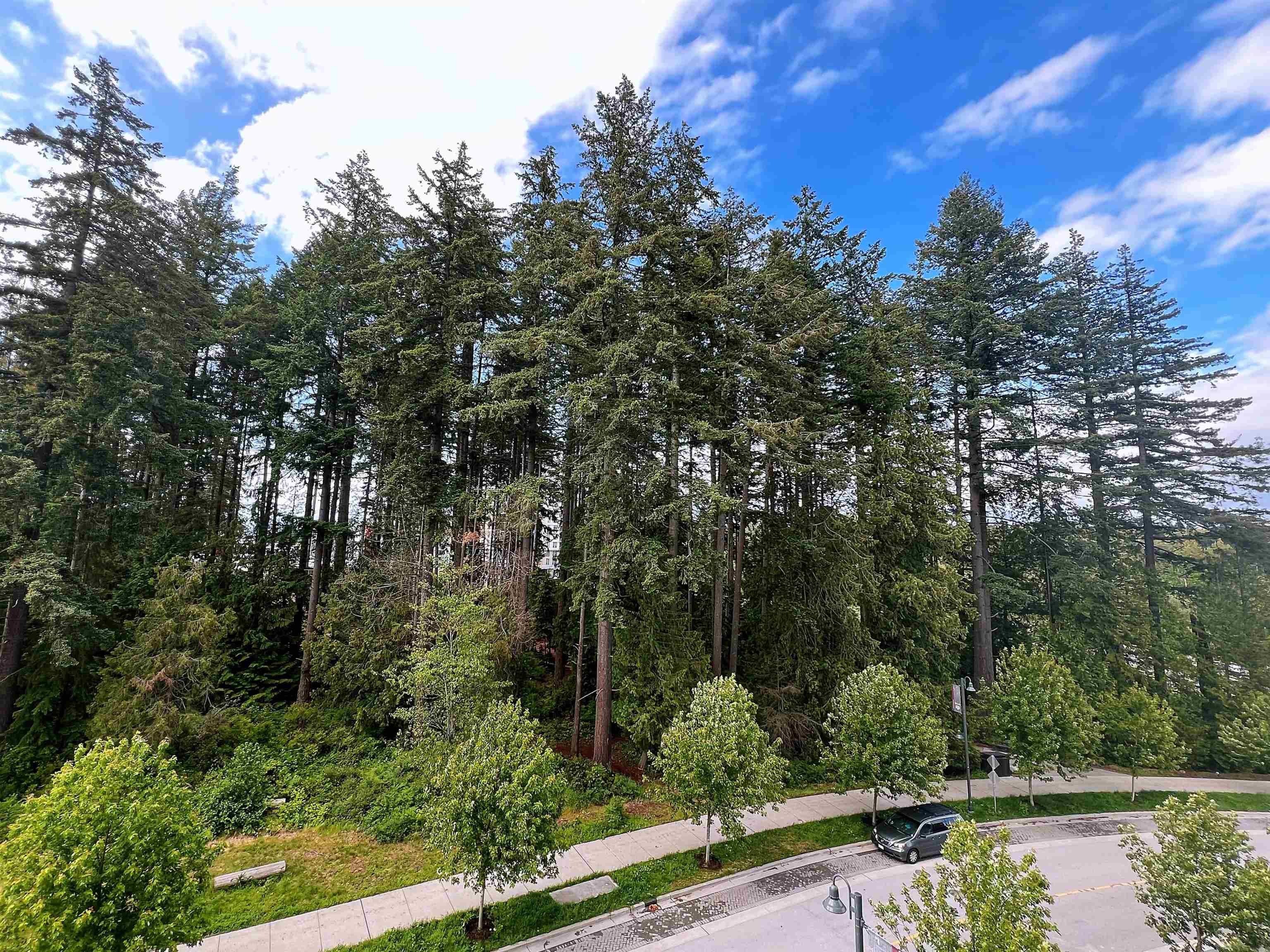 506 - 5380 Crooked Branch Road, Vancouver, V0V 0V0 — photo 3