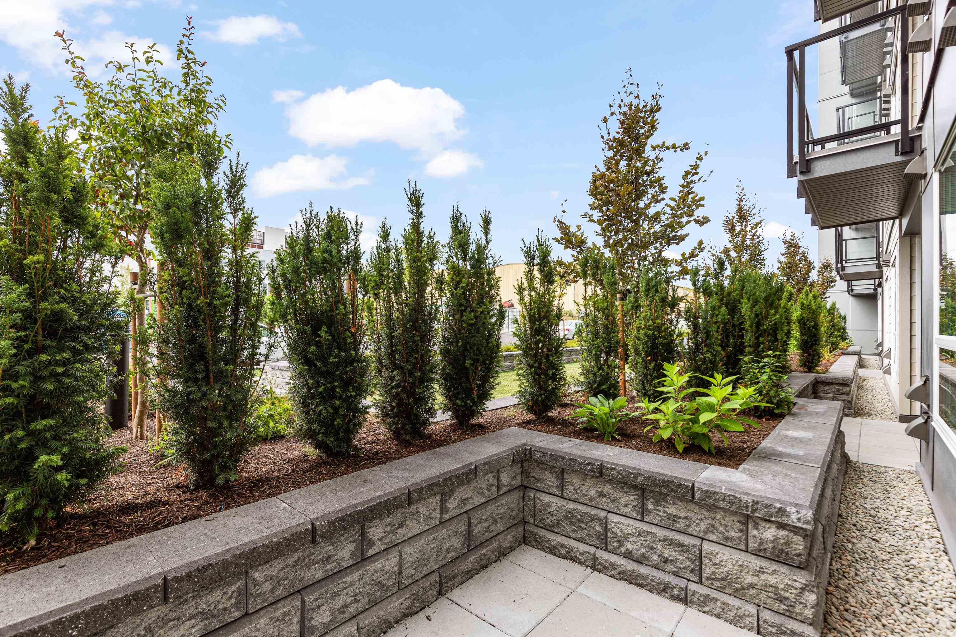106 - 30494 Cardinal Avenue, Abbotsford, V2T 0M1 — photo 4
