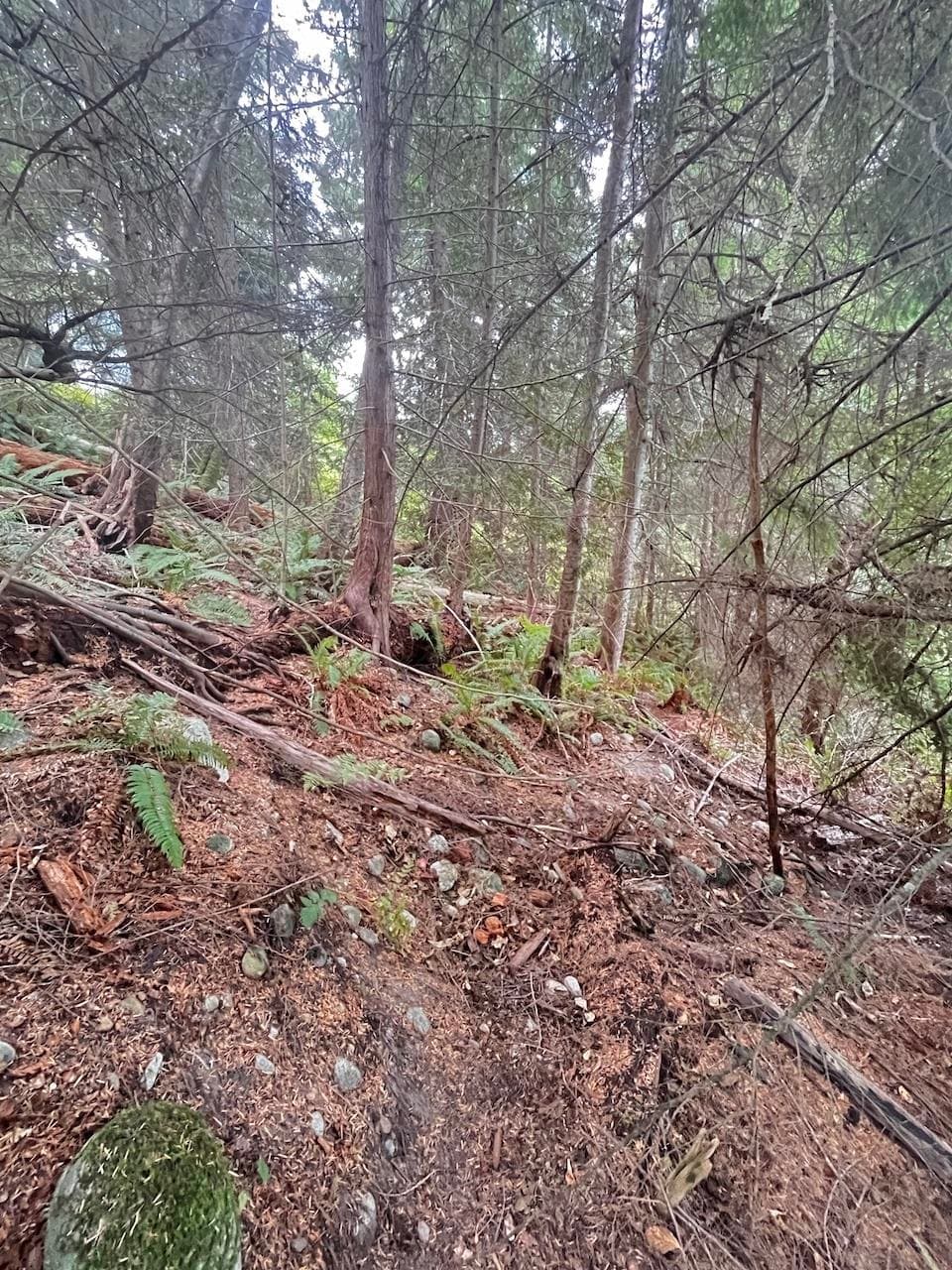 Lot 34 Deerhorn Drive, Sechelt, V7Z 0E1 — photo 4