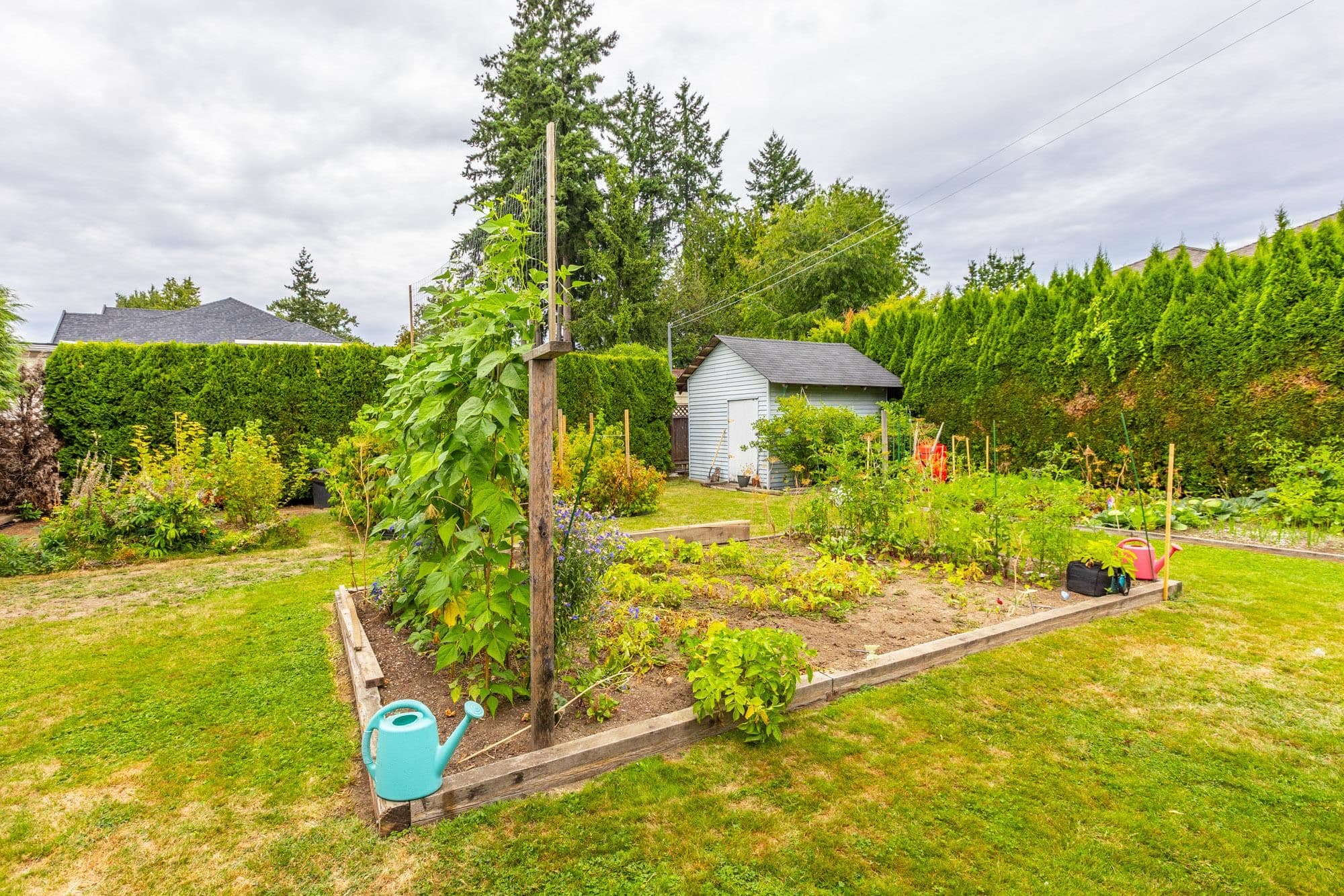12069 97 Avenue, Surrey, V3V 2C7 — photo 5