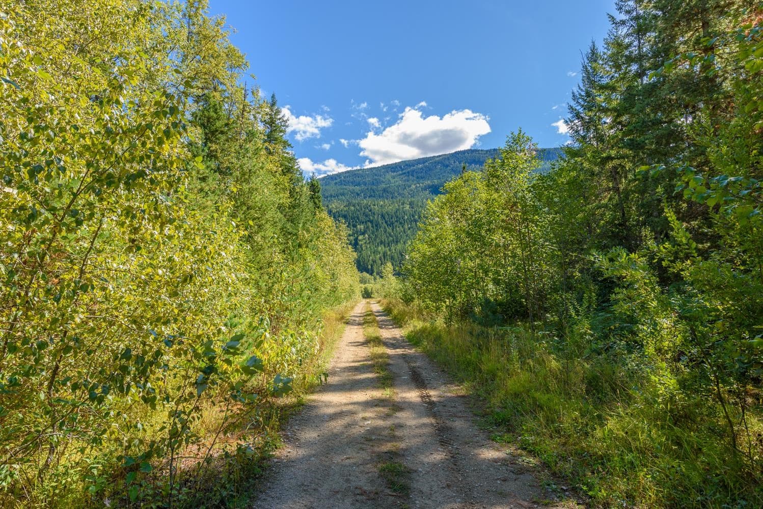 LOT A & - LOT 6 Anstey Arm, No City Value, V0E 1M7 — photo 3