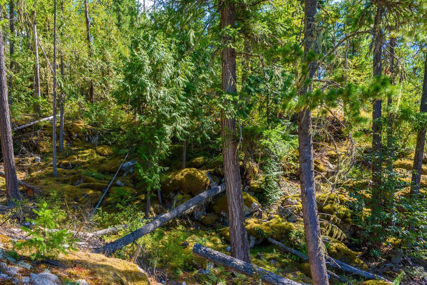 LOT A & - LOT 6 Anstey Arm, No City Value, V0E 1M7 — photo 5