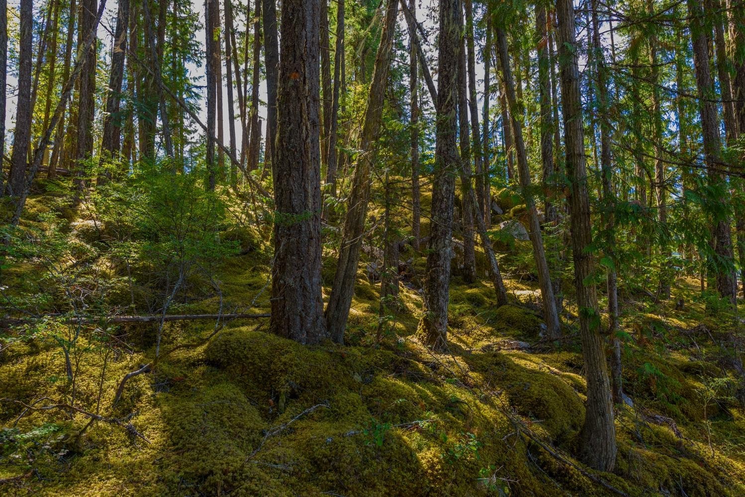 LOT A & - LOT 6 Anstey Arm, No City Value, V0E 1M7 — photo 4