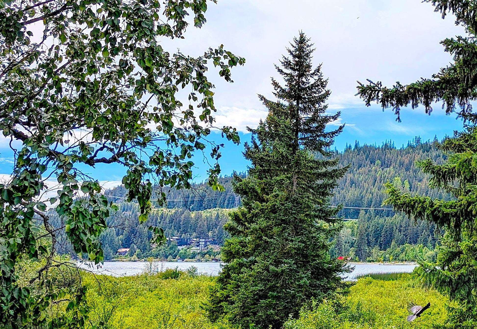 209 - 6850 Crabapple Drive, Whistler, V8E 0C5 — photo 2