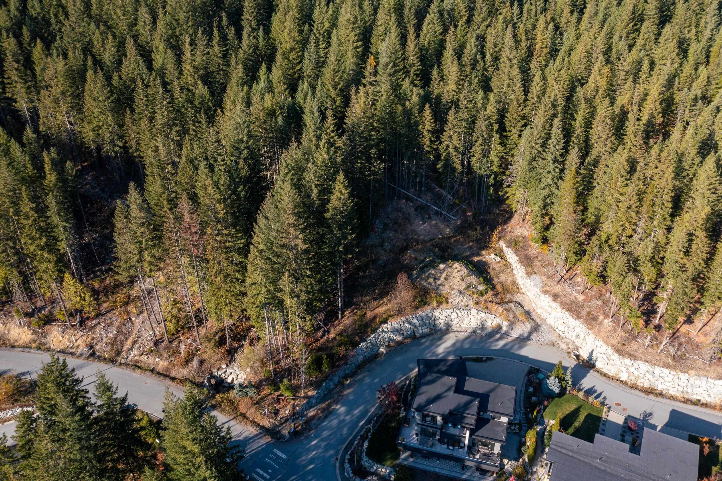 8590 Ashleigh Mcivor Drive, Whistler, V8E 1L9 — photo 4
