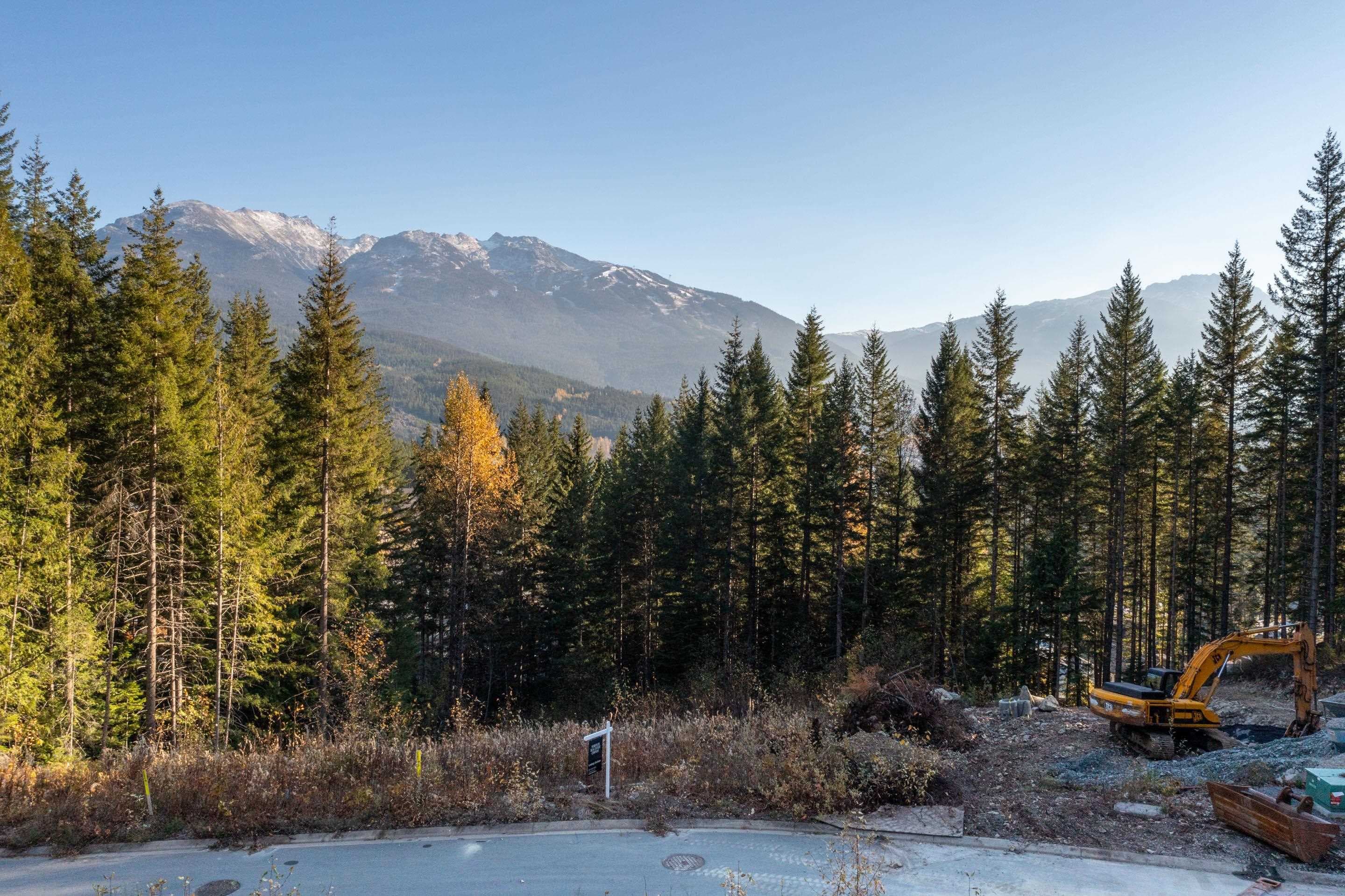 8594 Ashleigh Mcivor Drive, Whistler, V8E 1L9 — photo 2