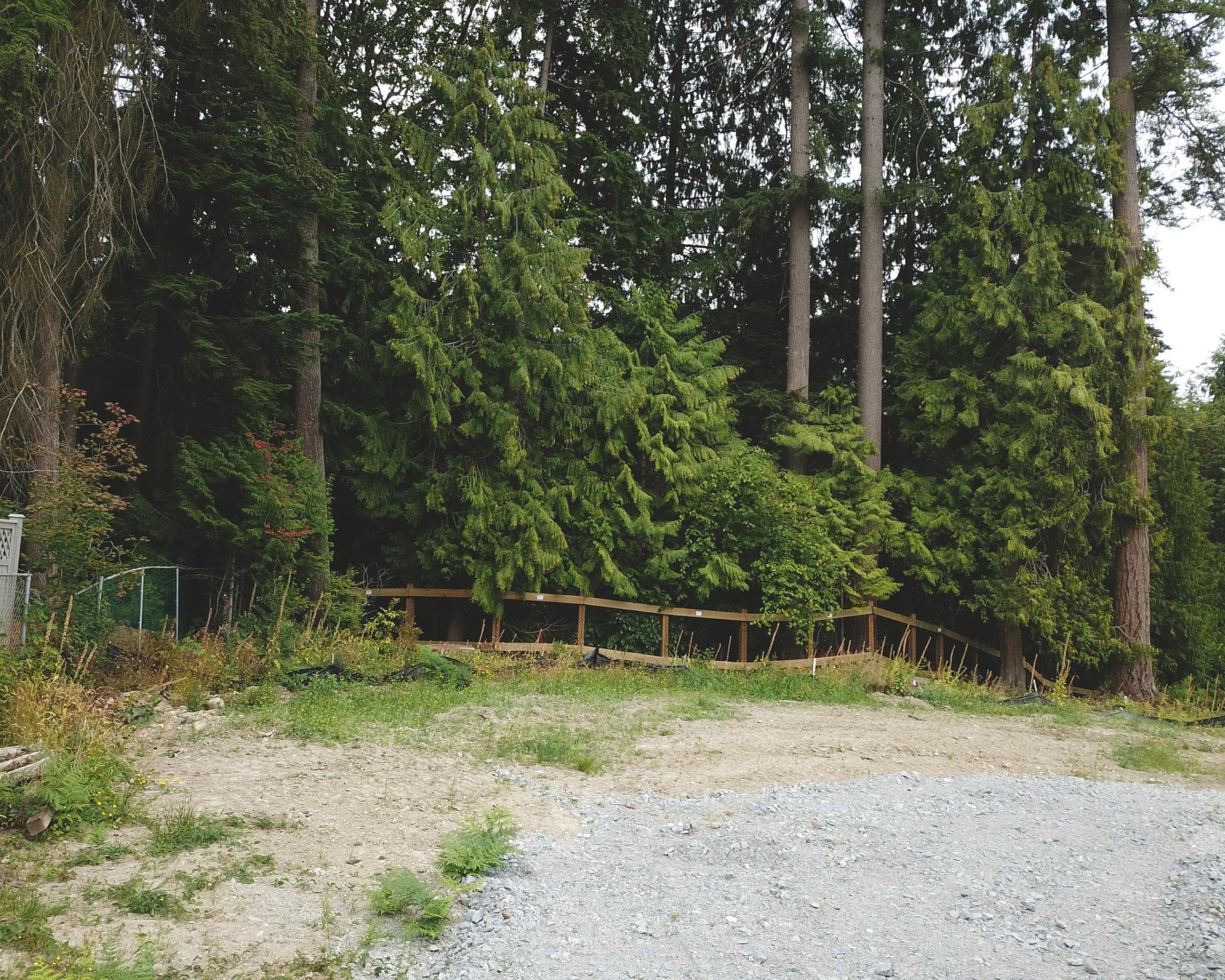 3338 Forestgate Place, Coquitlam, V3B 8B6 — photo 2