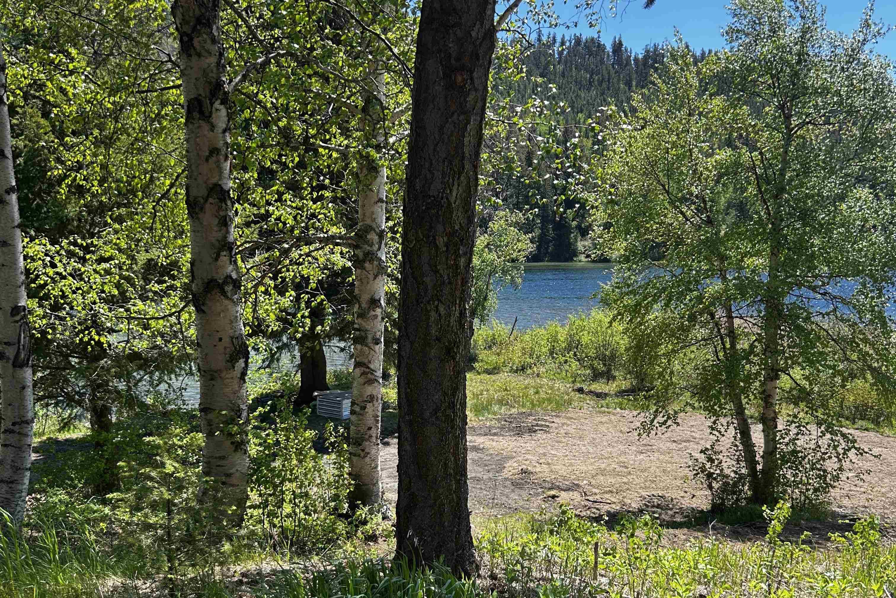 7326 Tyaughton Lake Road, No City Value, V0K 1P0 — photo 4