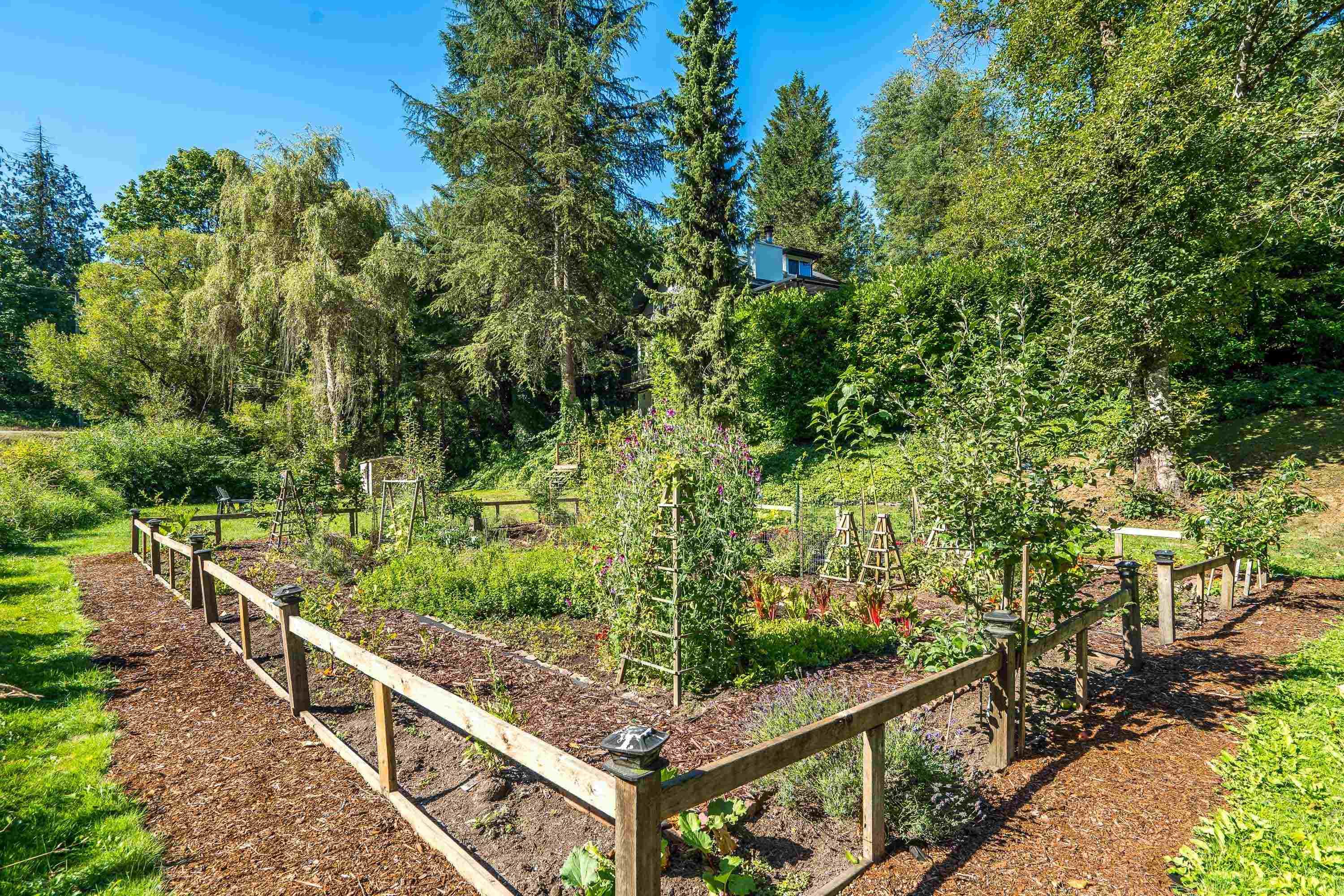 23182 Rawlison Crescent, Langley, V1M 3R7 — photo 4