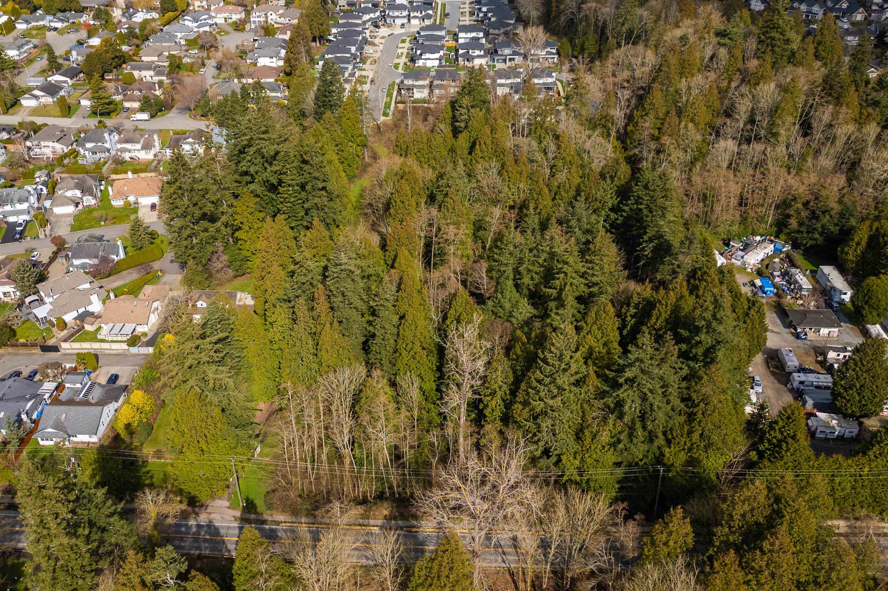 16203 8 Avenue, Surrey, V4A 1A3 — photo 3