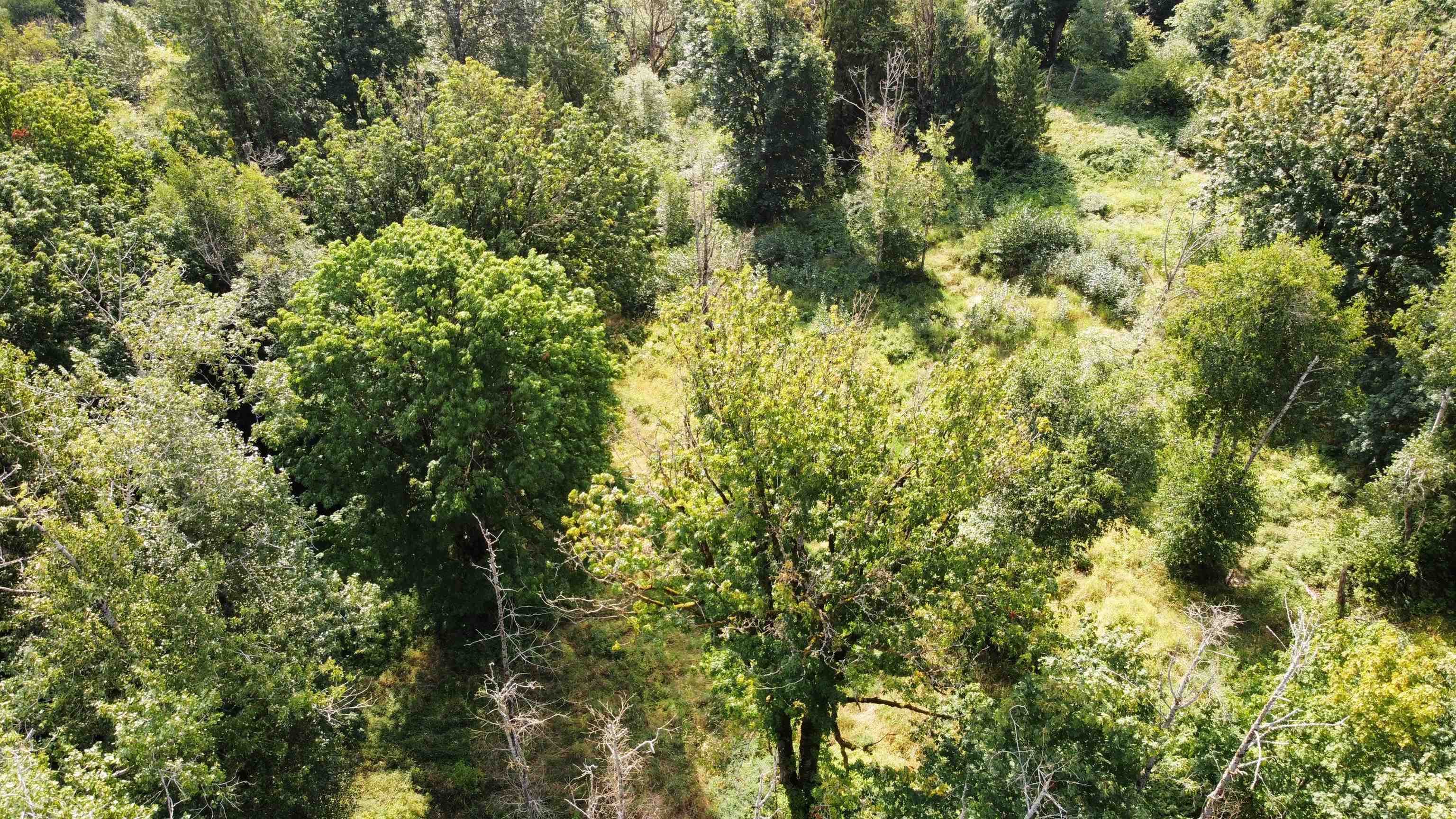 LT.4 Ohman Road, Mission, V0M 1N0 — photo 2