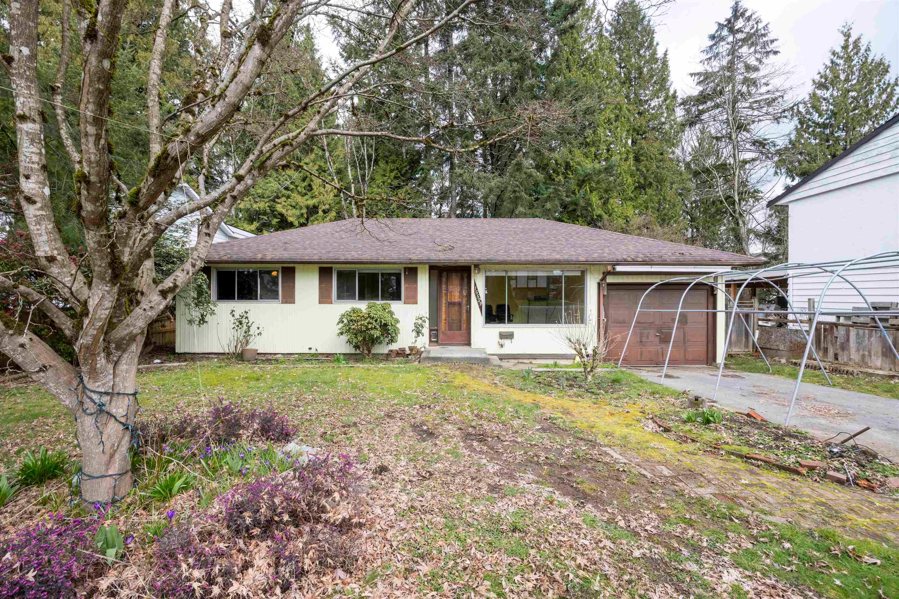 15523 105a Avenue, Surrey, V3R 1S7 — photo 2