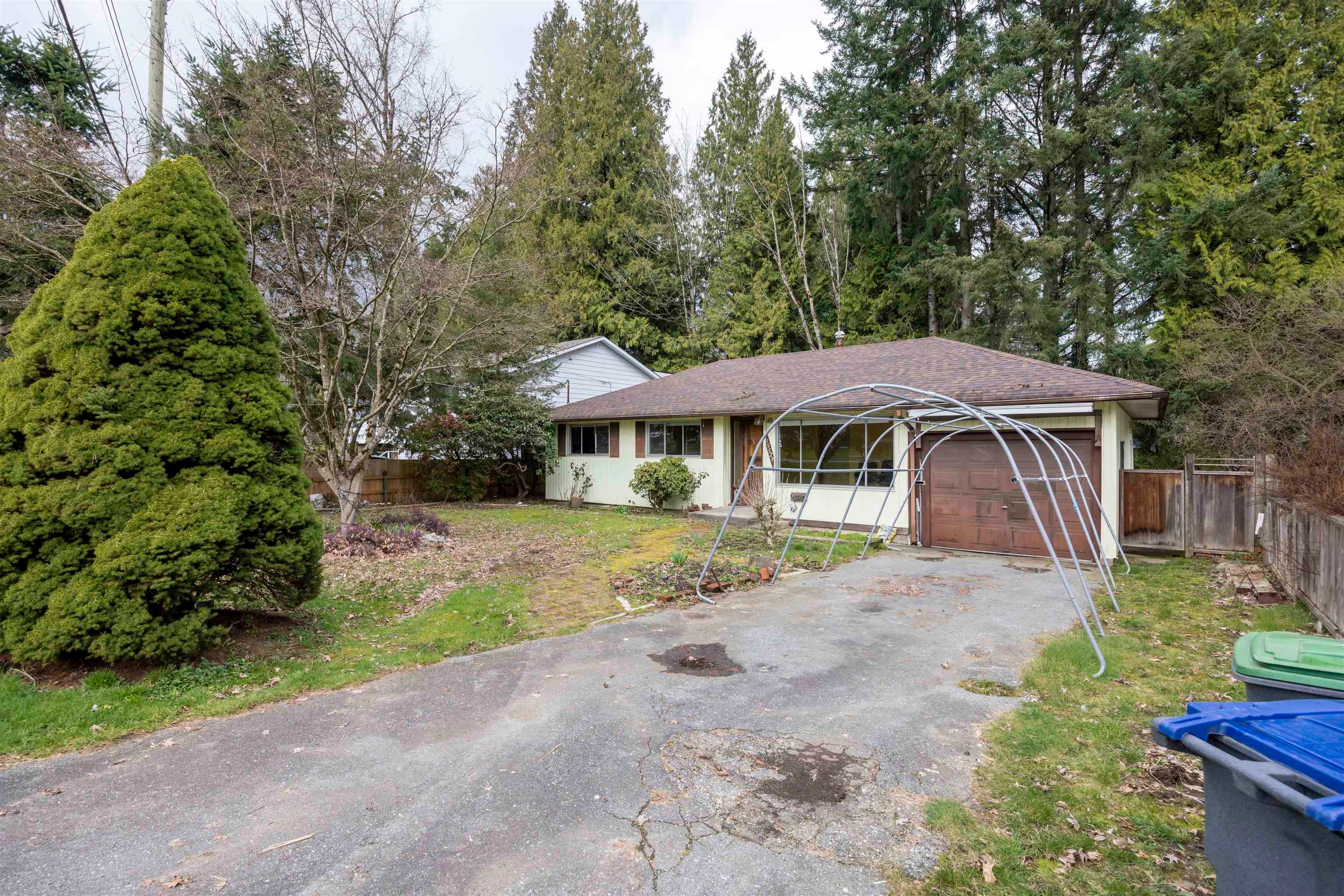 15523 105a Avenue, Surrey, V3R 1S7 — photo 3