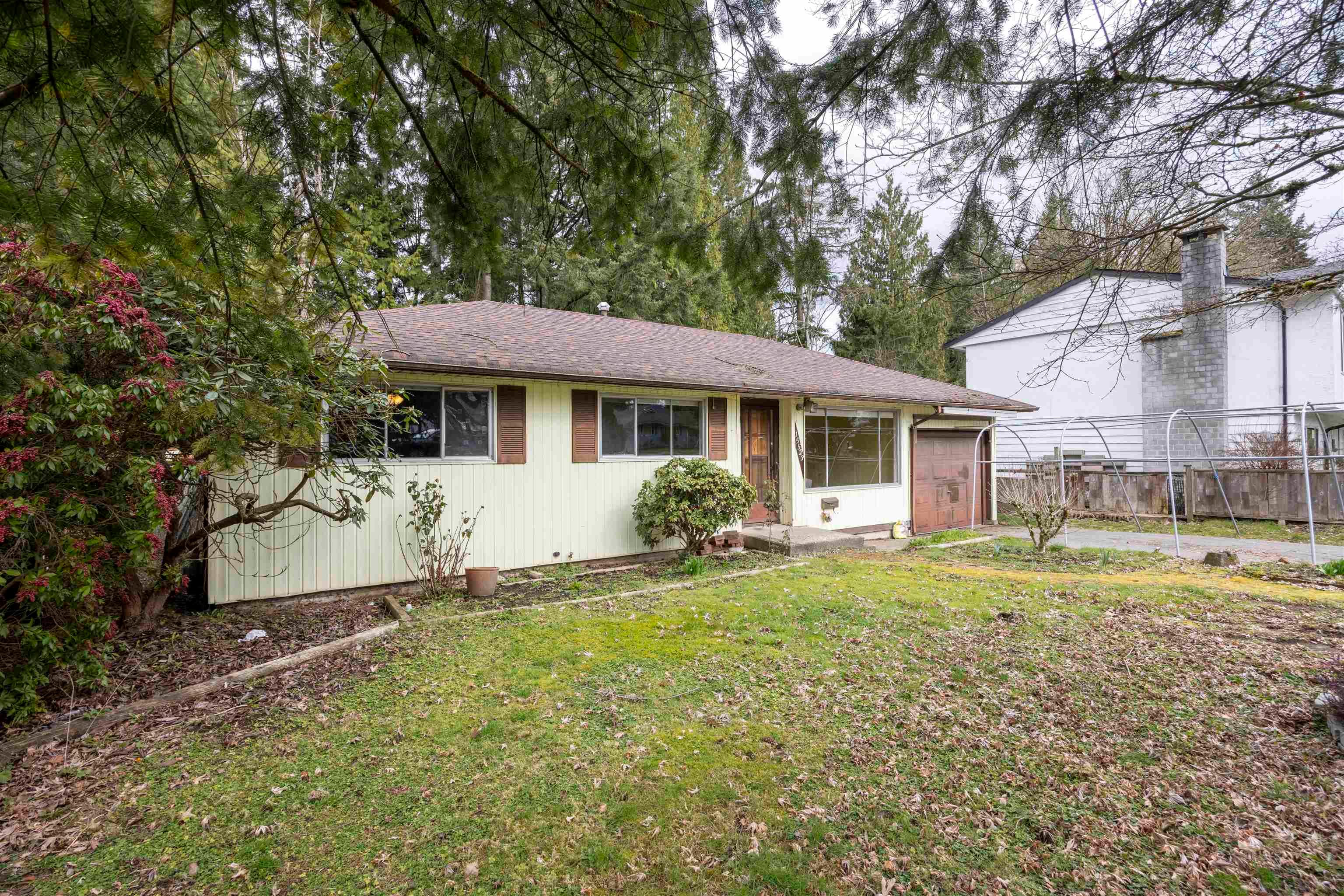 15523 105a Avenue, Surrey, V3R 1S7 — photo 4
