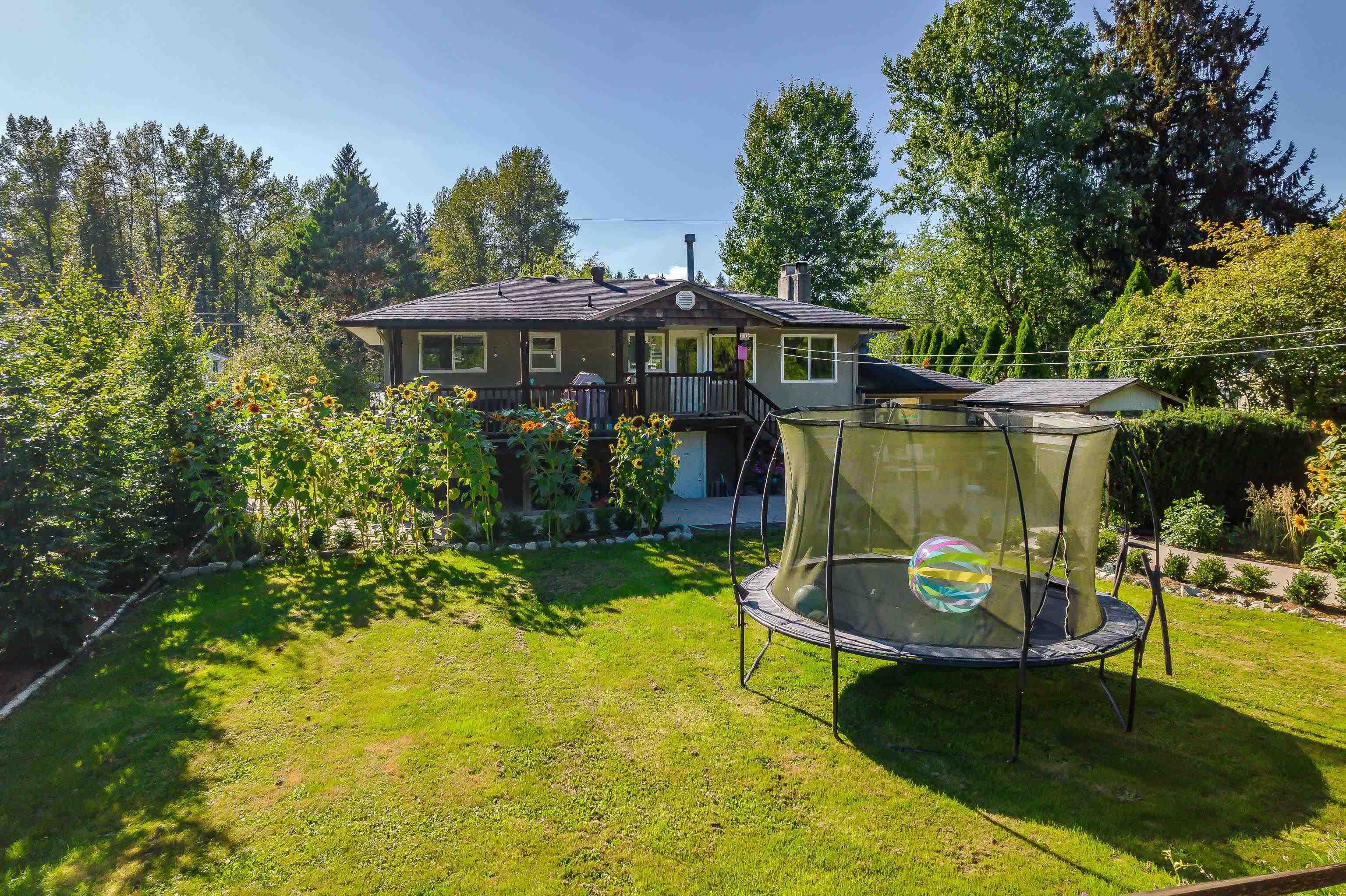 12290 252 Street, Maple Ridge, V4R 1G6 — photo 5