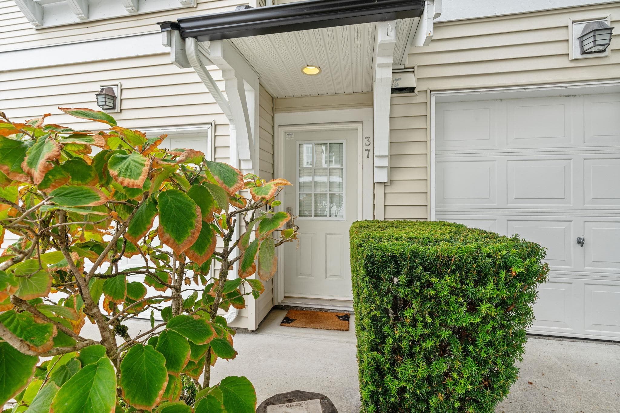 37 - 20560 66 Avenue, Langley, V2Y 2Y8 — photo 4