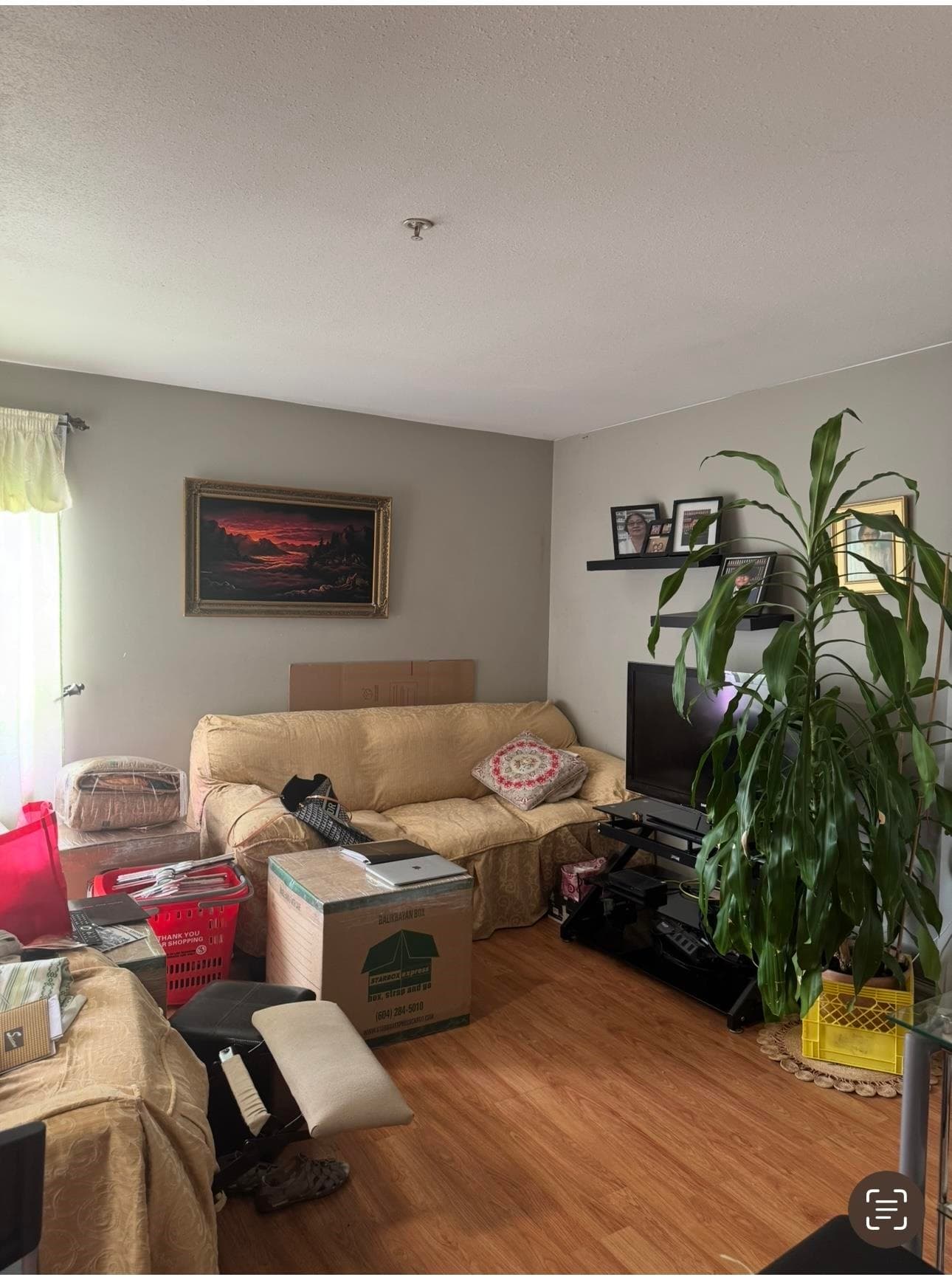 302 - 688 E 56th Avenue, Vancouver, V5X 1R7 — photo 3