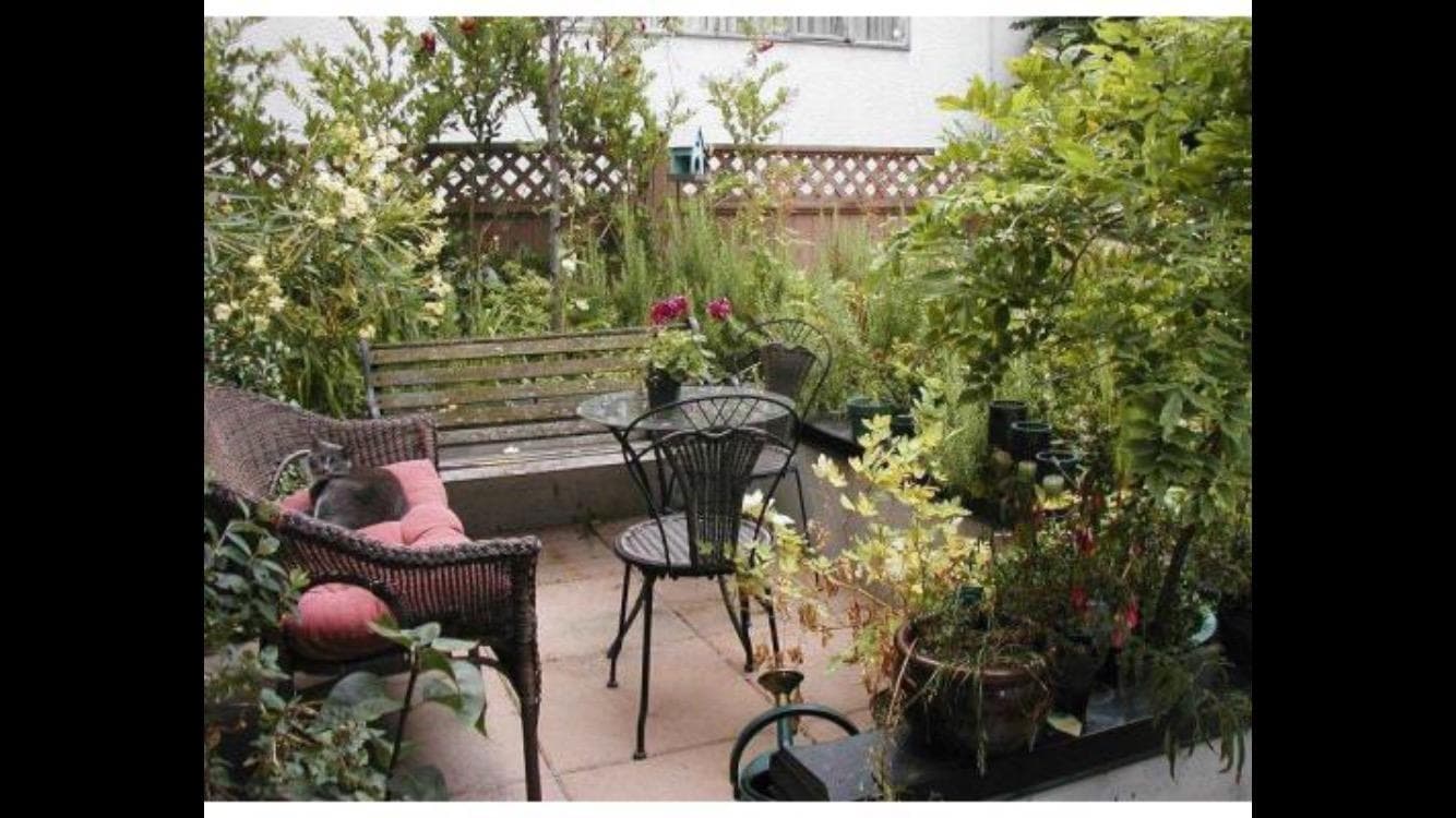1 - 1137 Barclay Street, Vancouver, V6E 1G8 — photo 3