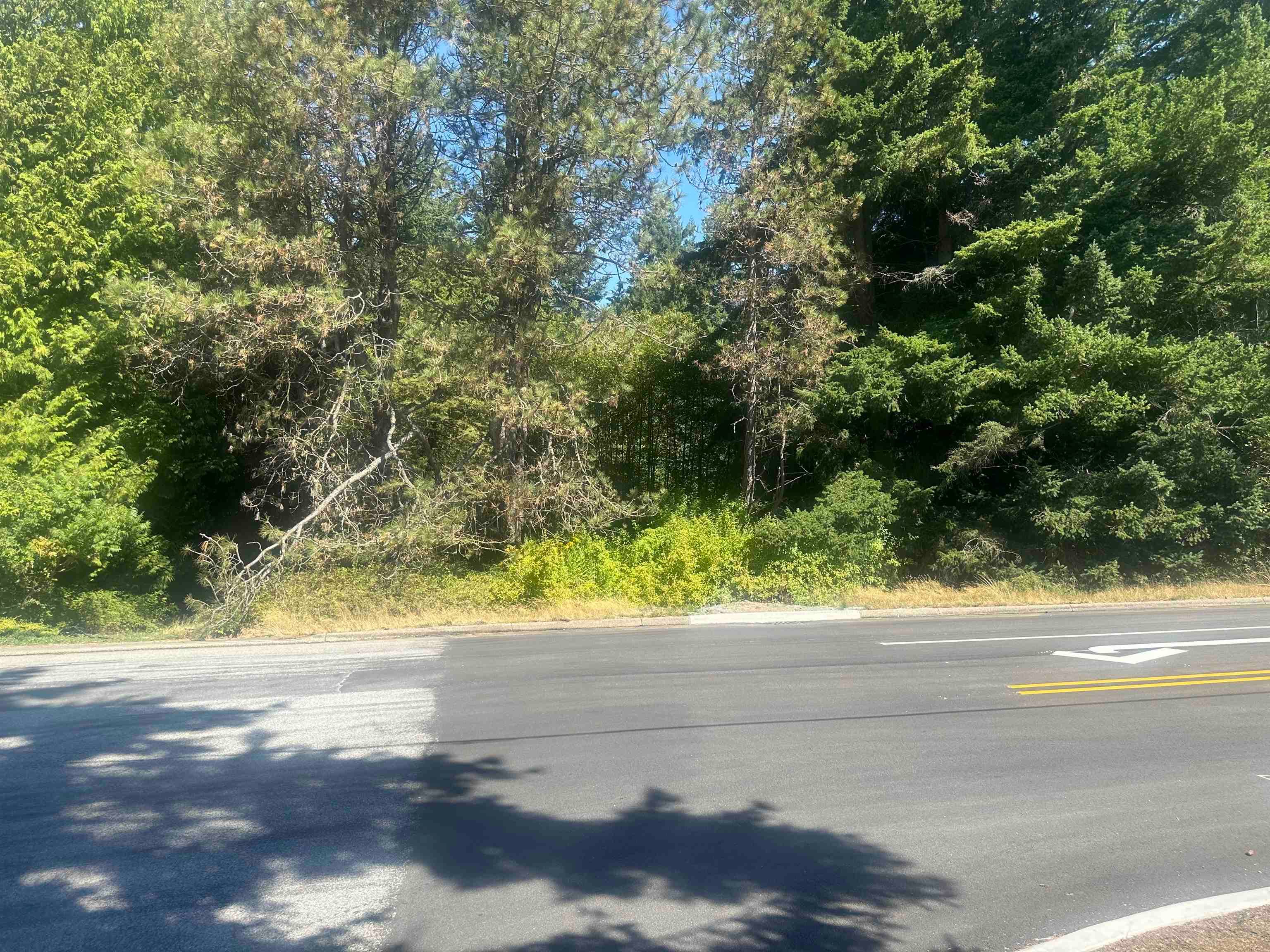 12739 Crescent Road, Surrey, V3A 2V2 — photo 1