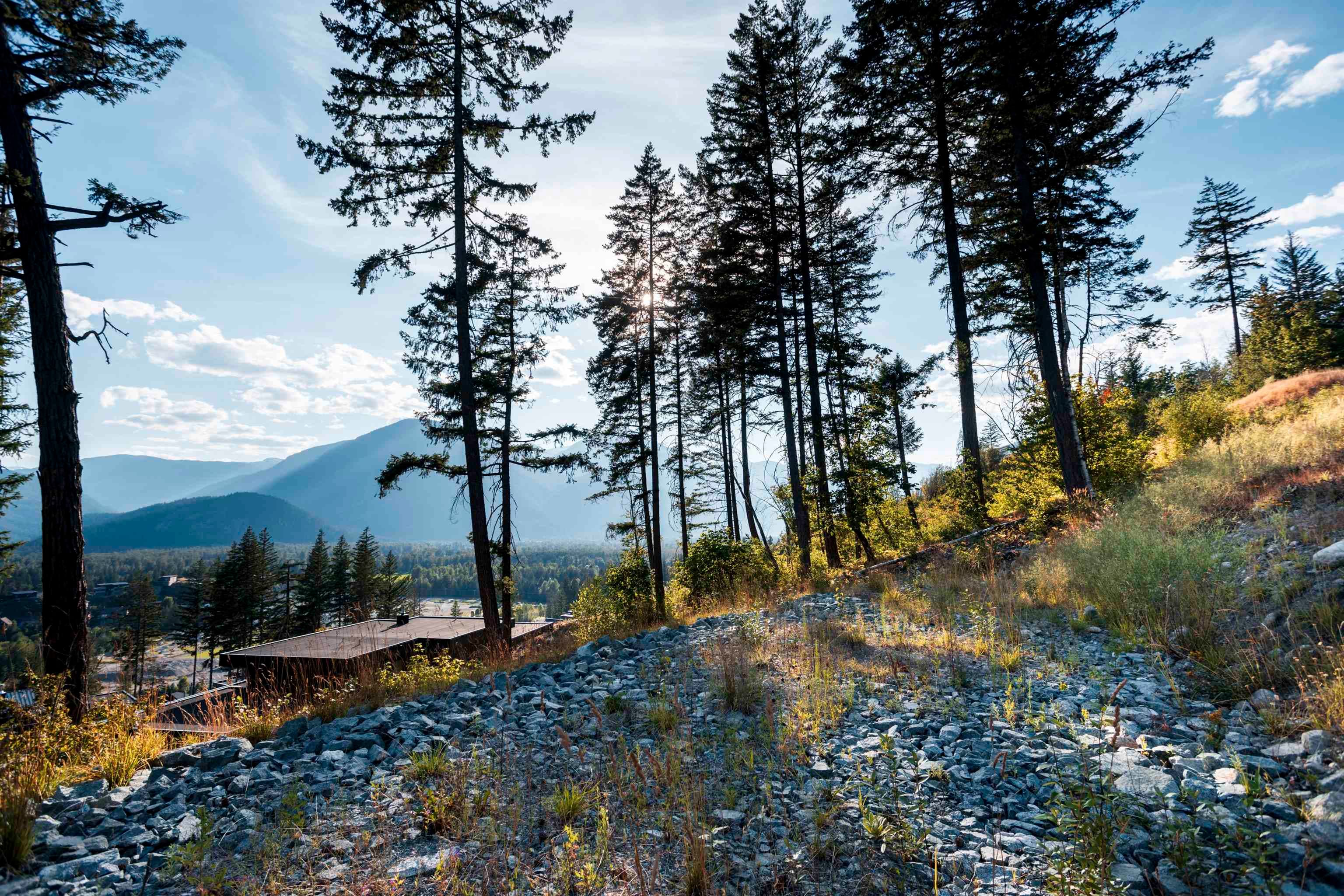 9000 Sun God Mountain Way, Pemberton, V0N 2L3 — photo 2