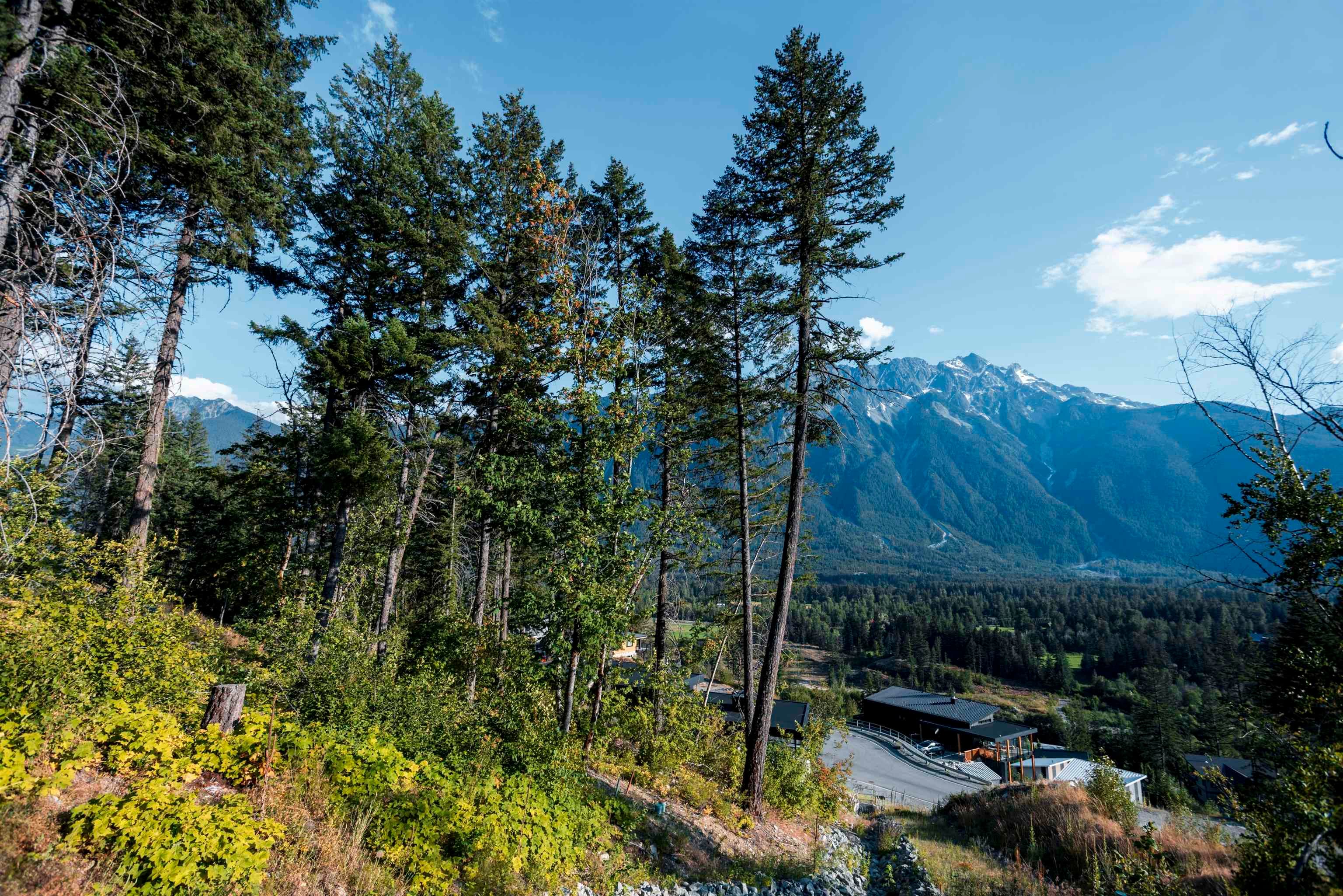 9000 Sun God Mountain Way, Pemberton, V0N 2L3 — photo 3