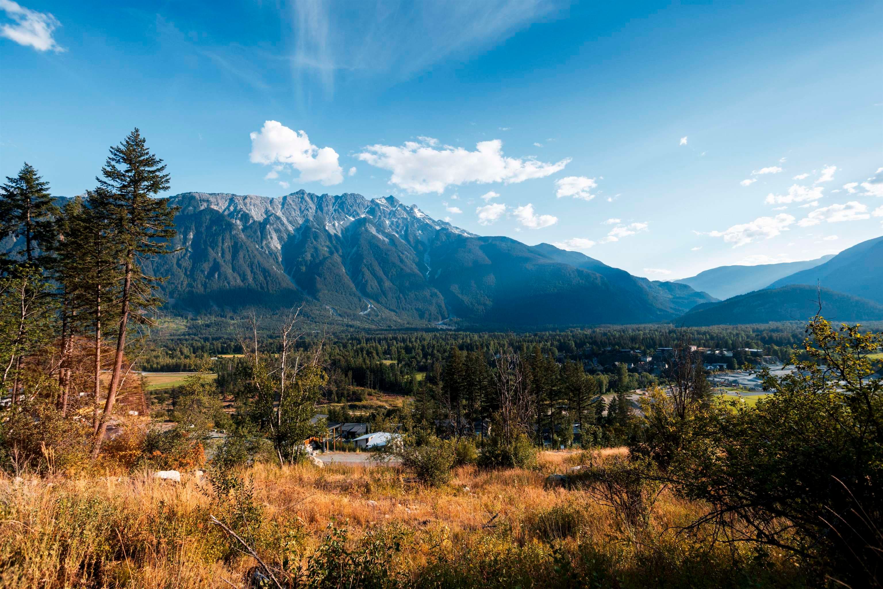 9002 Sun God Mountain Way, Pemberton, V0N 2L3 — photo 4