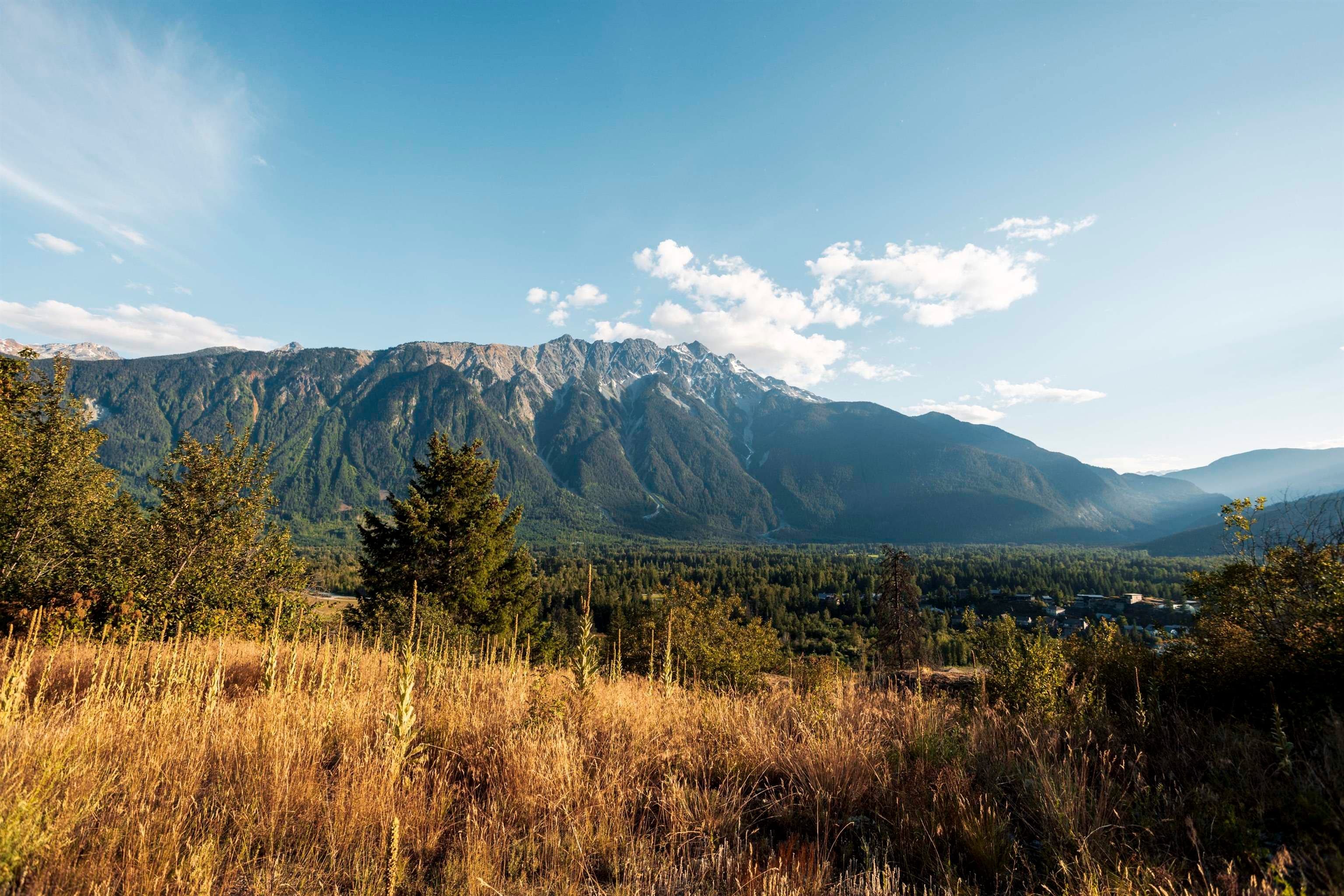 9004 Sun God Mountain Way, Pemberton