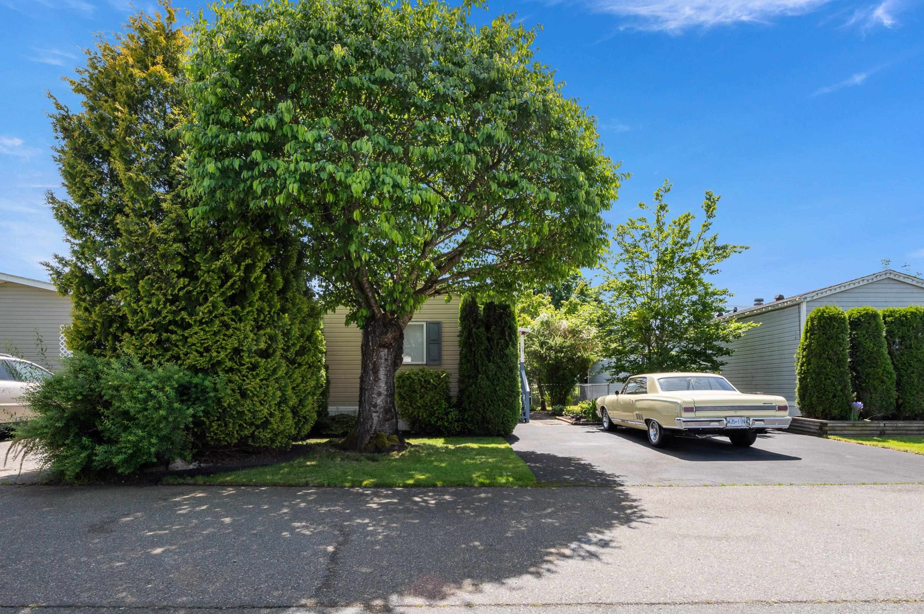 38 - 41168 Lougheed Highway, Mission, V0M 1G0 — photo 1