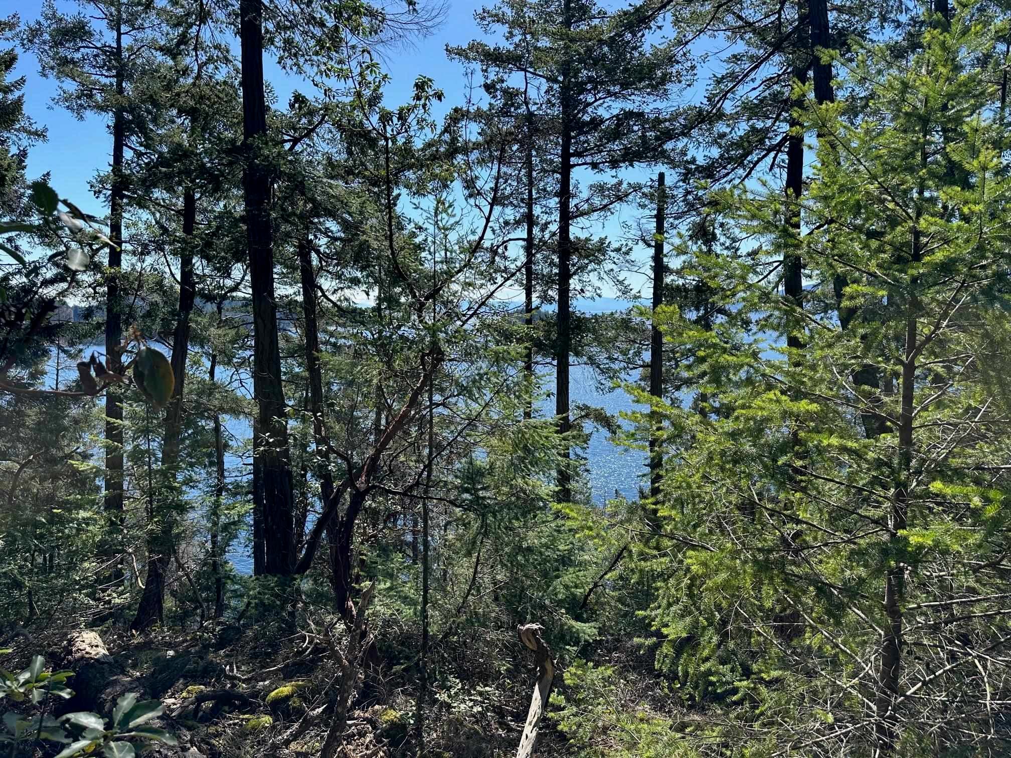 LOT 48 Orca Road, Garden Bay, V0N 1S1 — photo 5