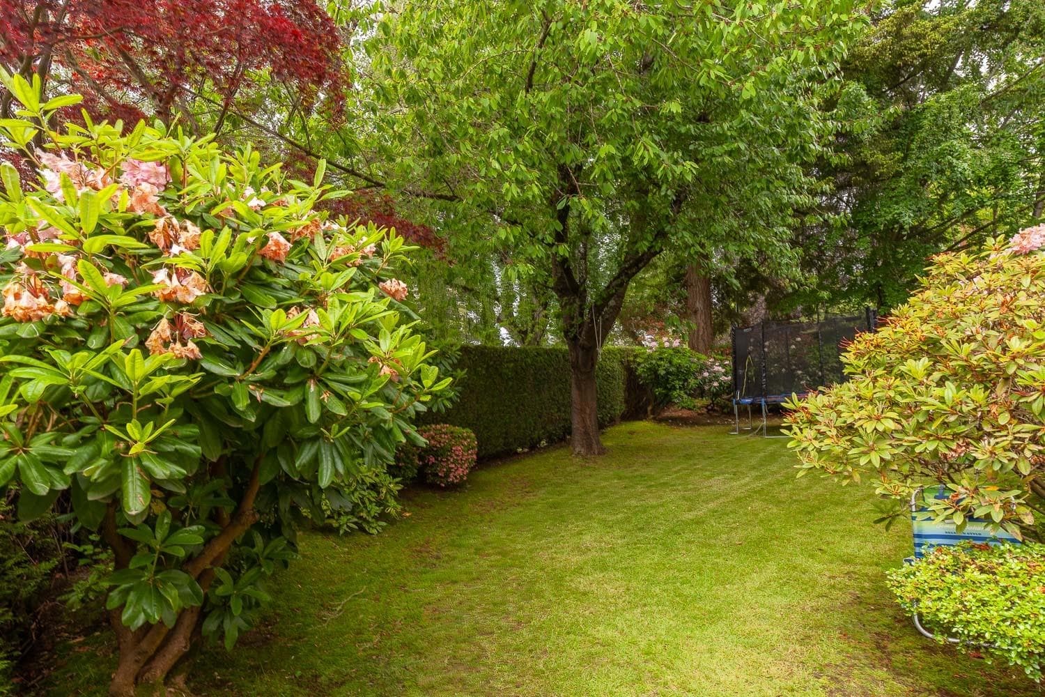 1989 W 52nd Avenue, Vancouver, V6P 1J6 — photo 3