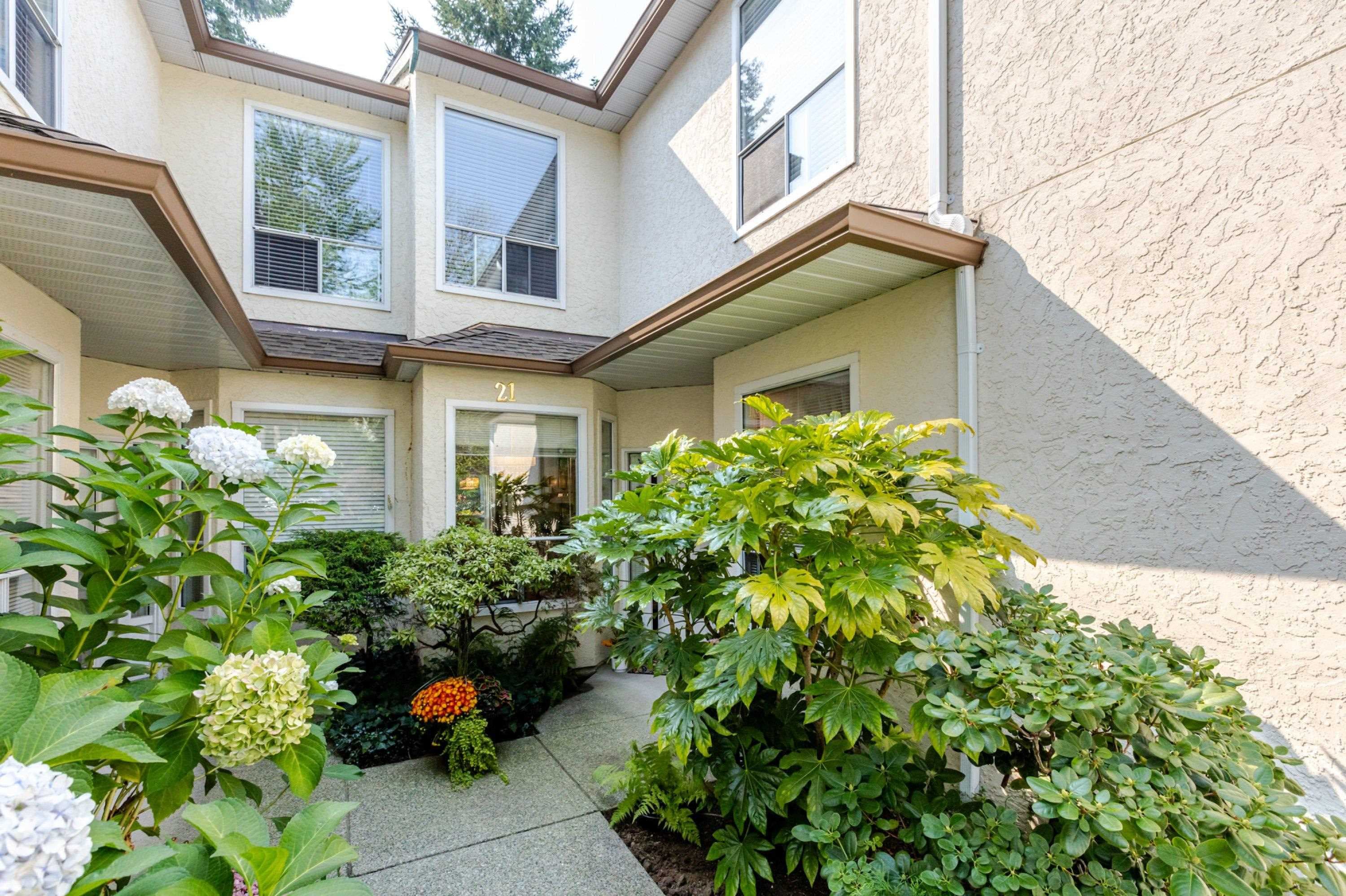 21 - 10038 150 Street, Surrey, V3R 0M8 — photo 2