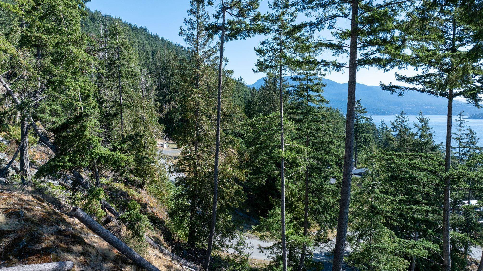 747 Seymour Bay, Bowen Island, V0N 1G2 — photo 4