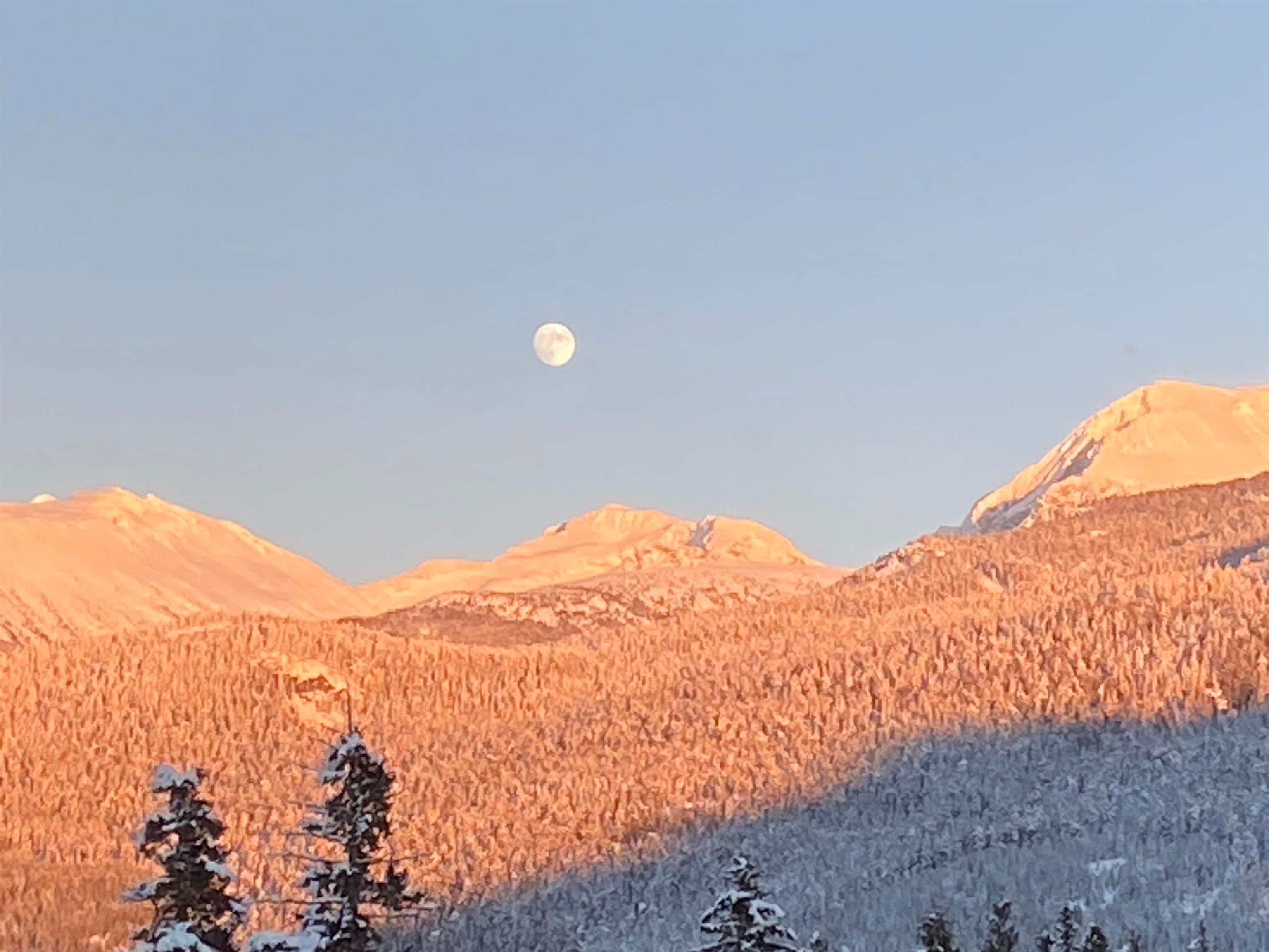 209 - 3317 Ptarmigan Place, Whistler, V8E 0V7 — photo 3