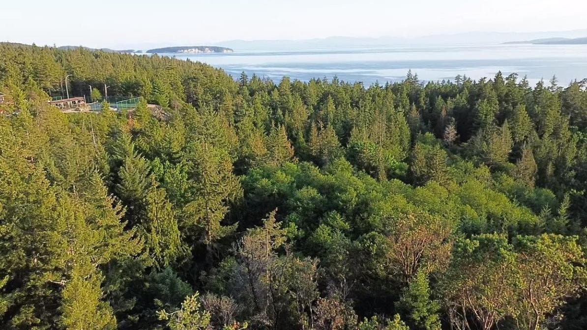 11793 Sunshine Coast Highway, Halfmoon Bay