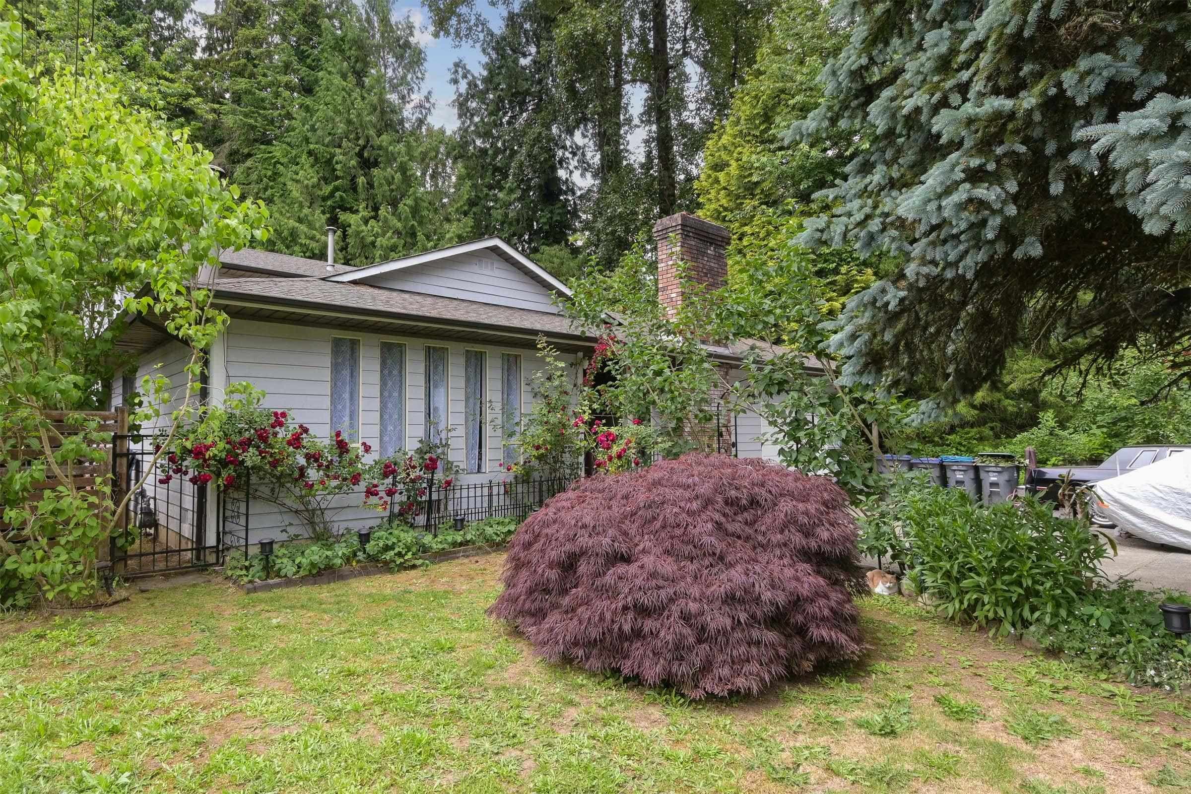 10595 154a Street, Surrey, V3R 4K2 — photo 3