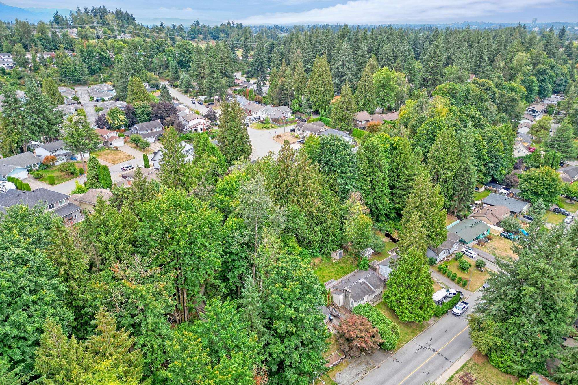 34898 Laburnum Avenue, Abbotsford, V2S 5J4 — photo 3