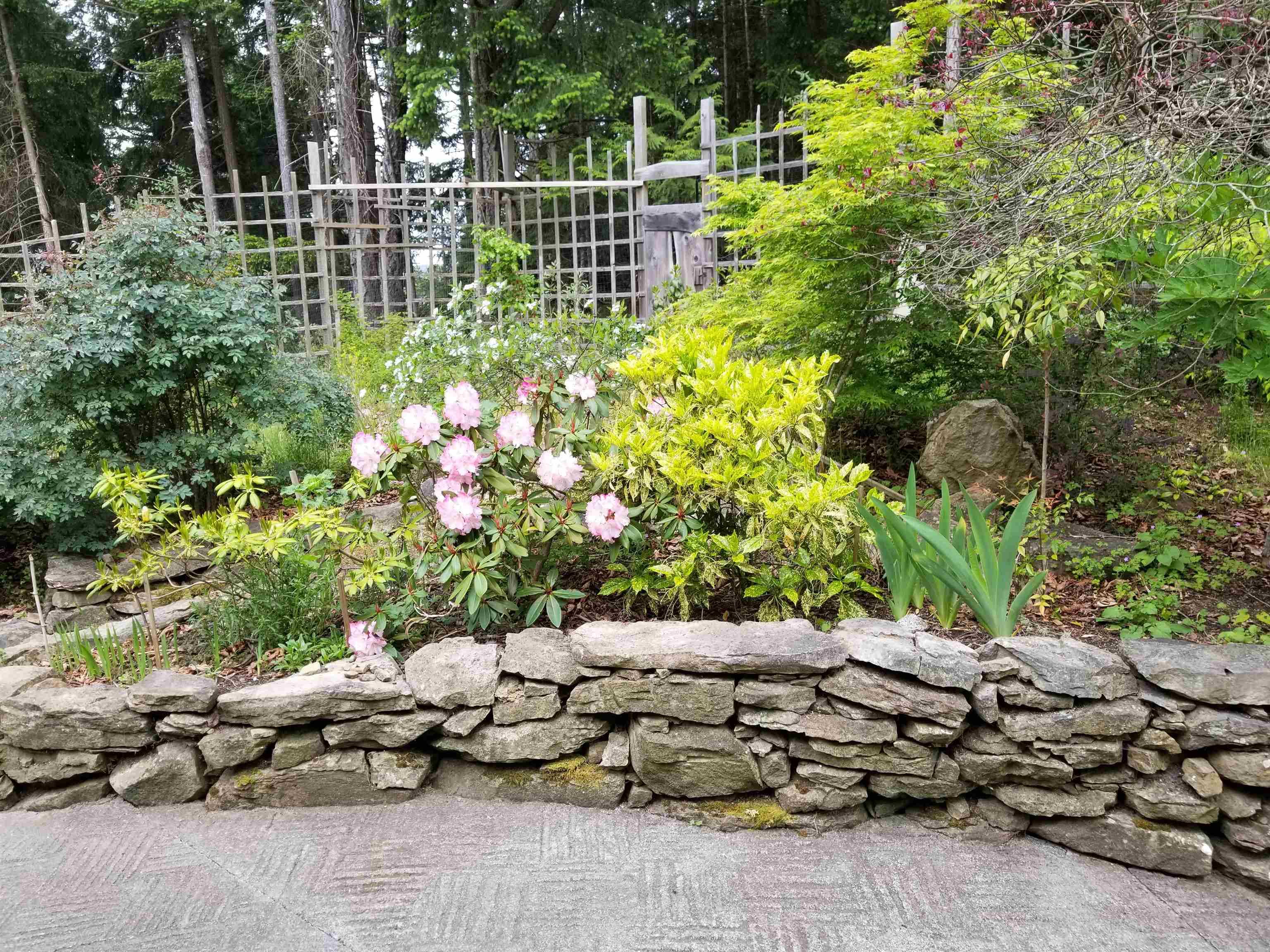 9975 Porlier Pass Road, Galiano Island, V0N 1P0 — photo 3