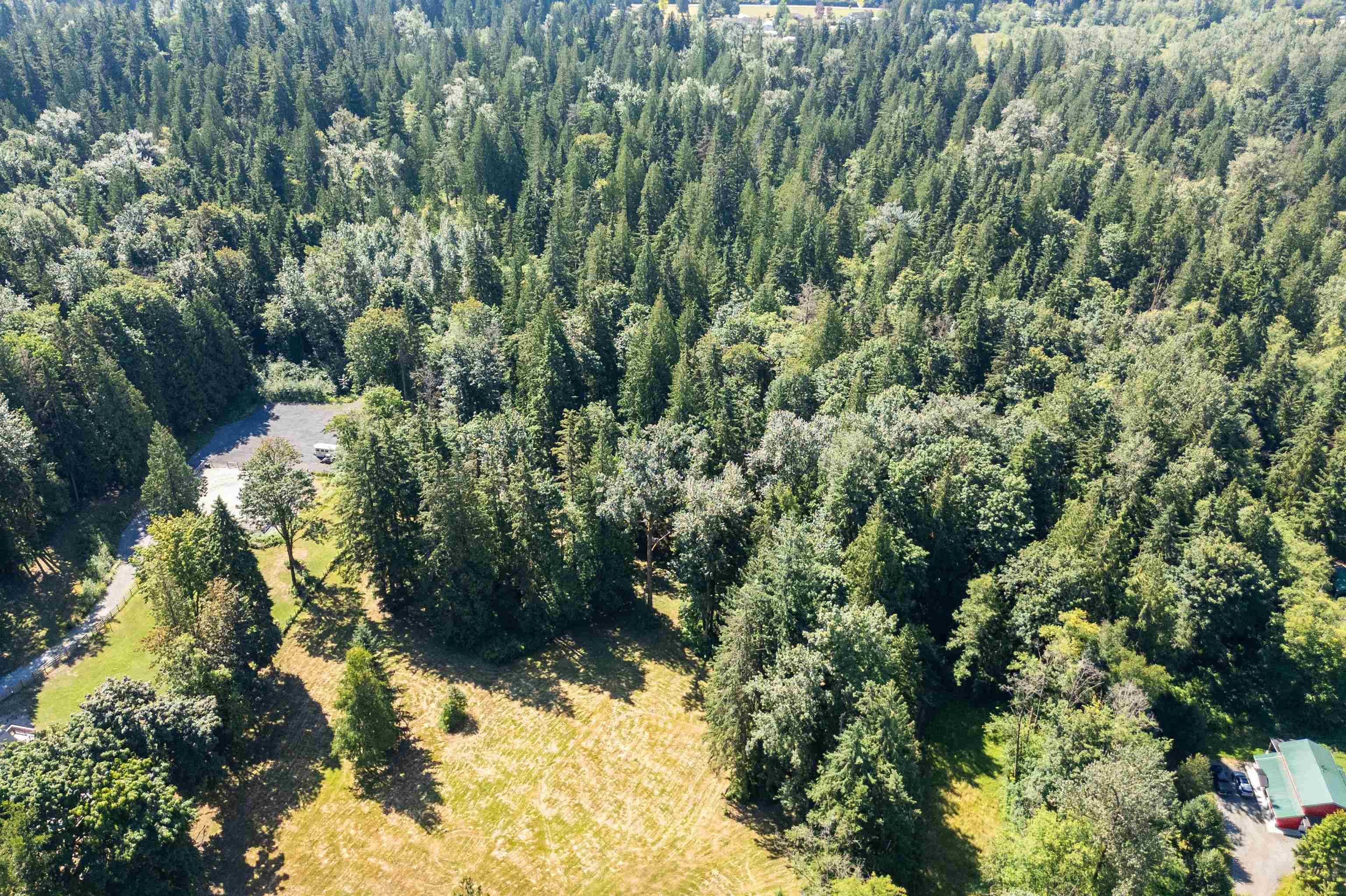 Lot 31 108 Avenue, Maple Ridge, N0N 0N0 — photo 5