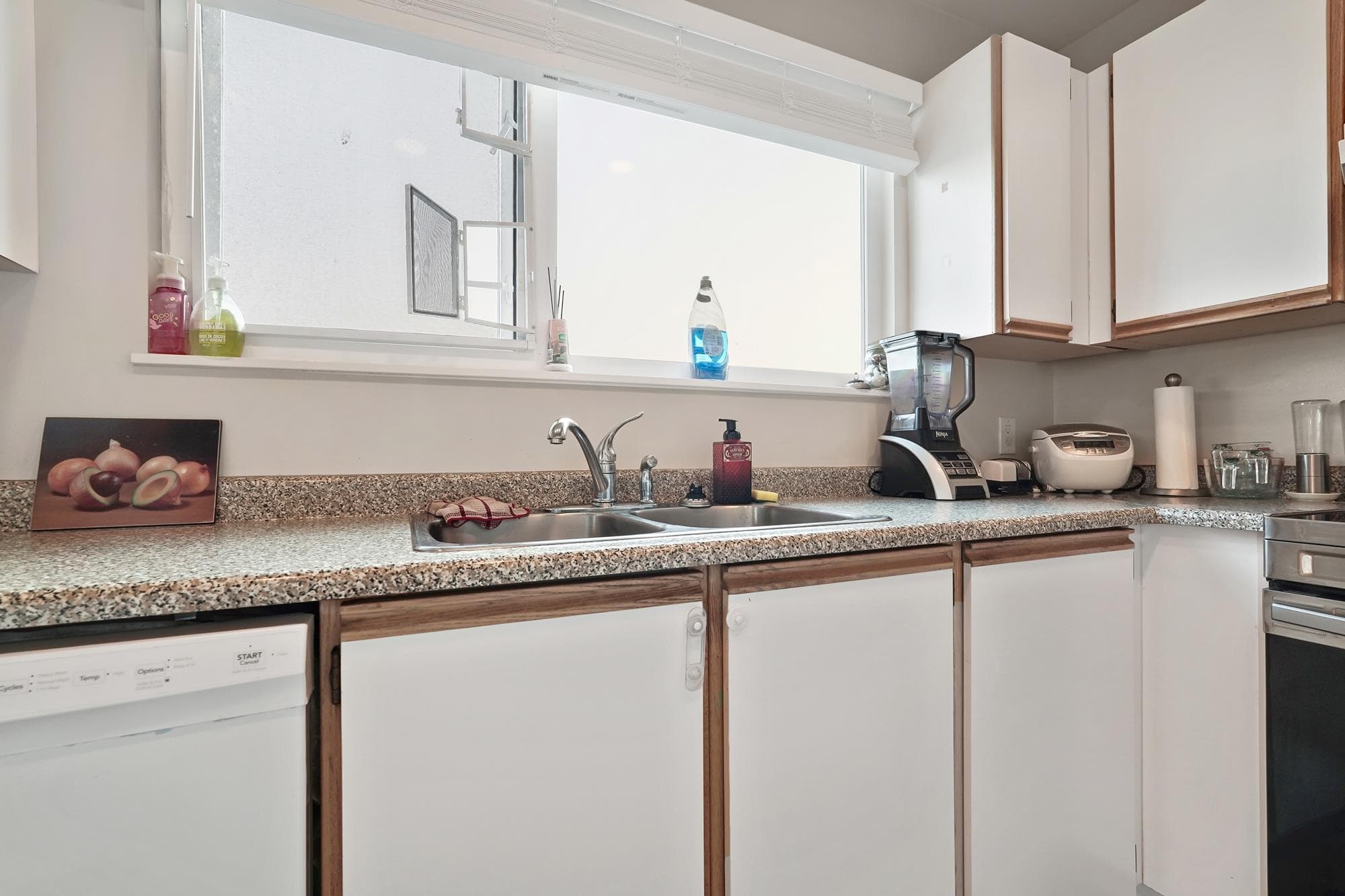 201 - 918 Roderick Avenue, Coquitlam, V3K 1R1 — photo 3