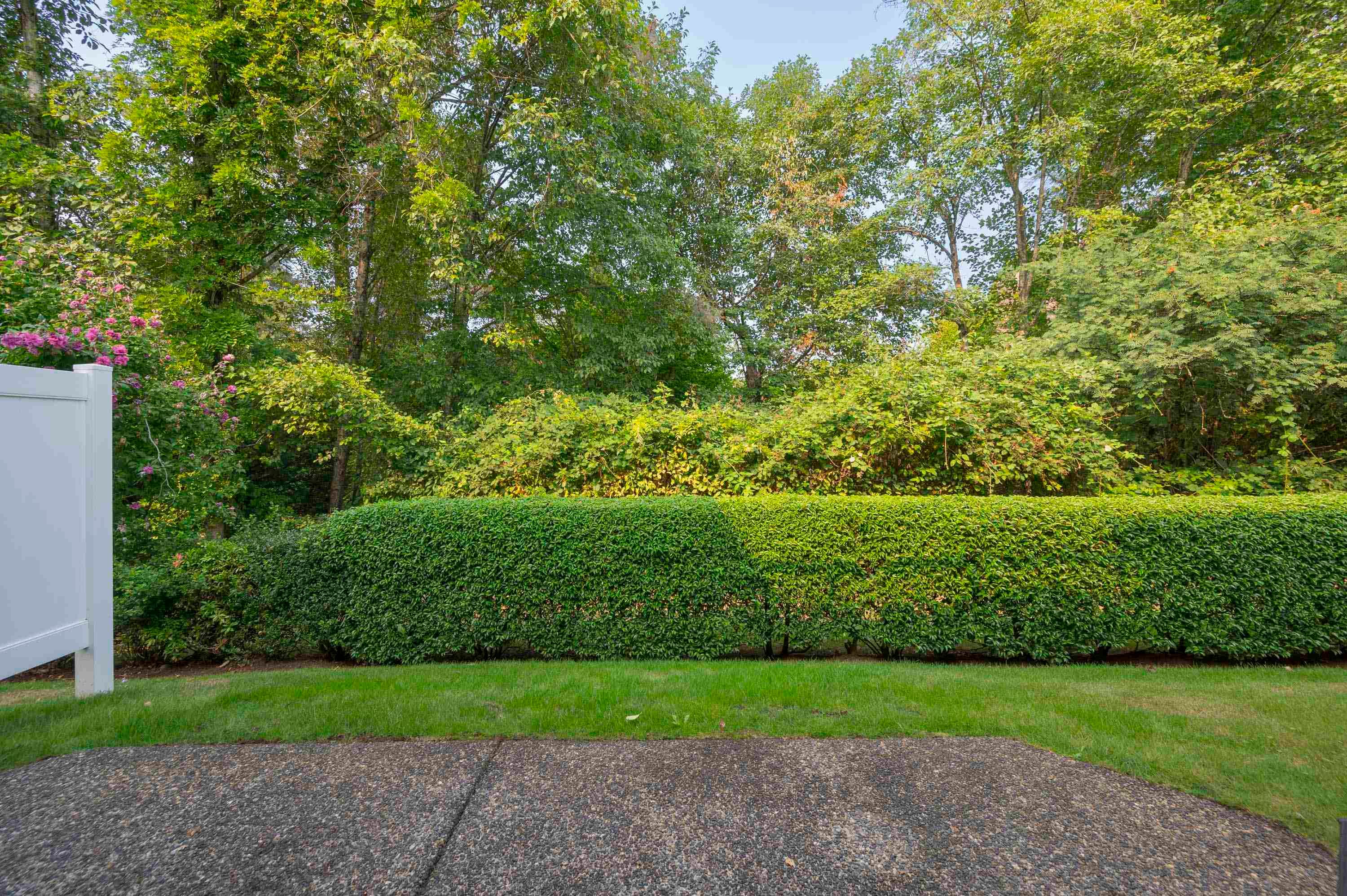 72 - 21579 88b Avenue, Langley, V1M 2X4 — photo 3