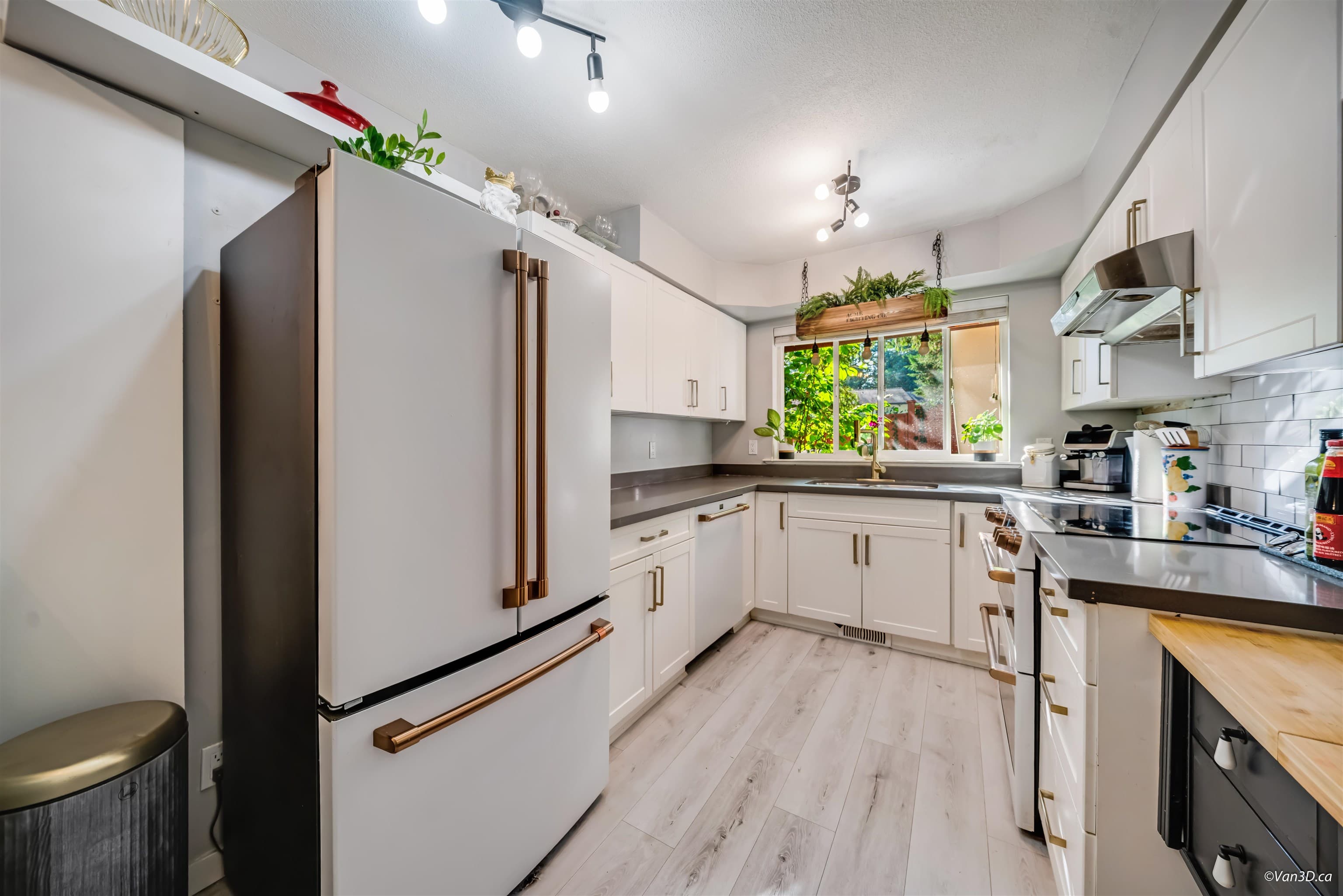 10 - 20985 Camwood Avenue, Maple Ridge, V2X 2N9 — photo 4