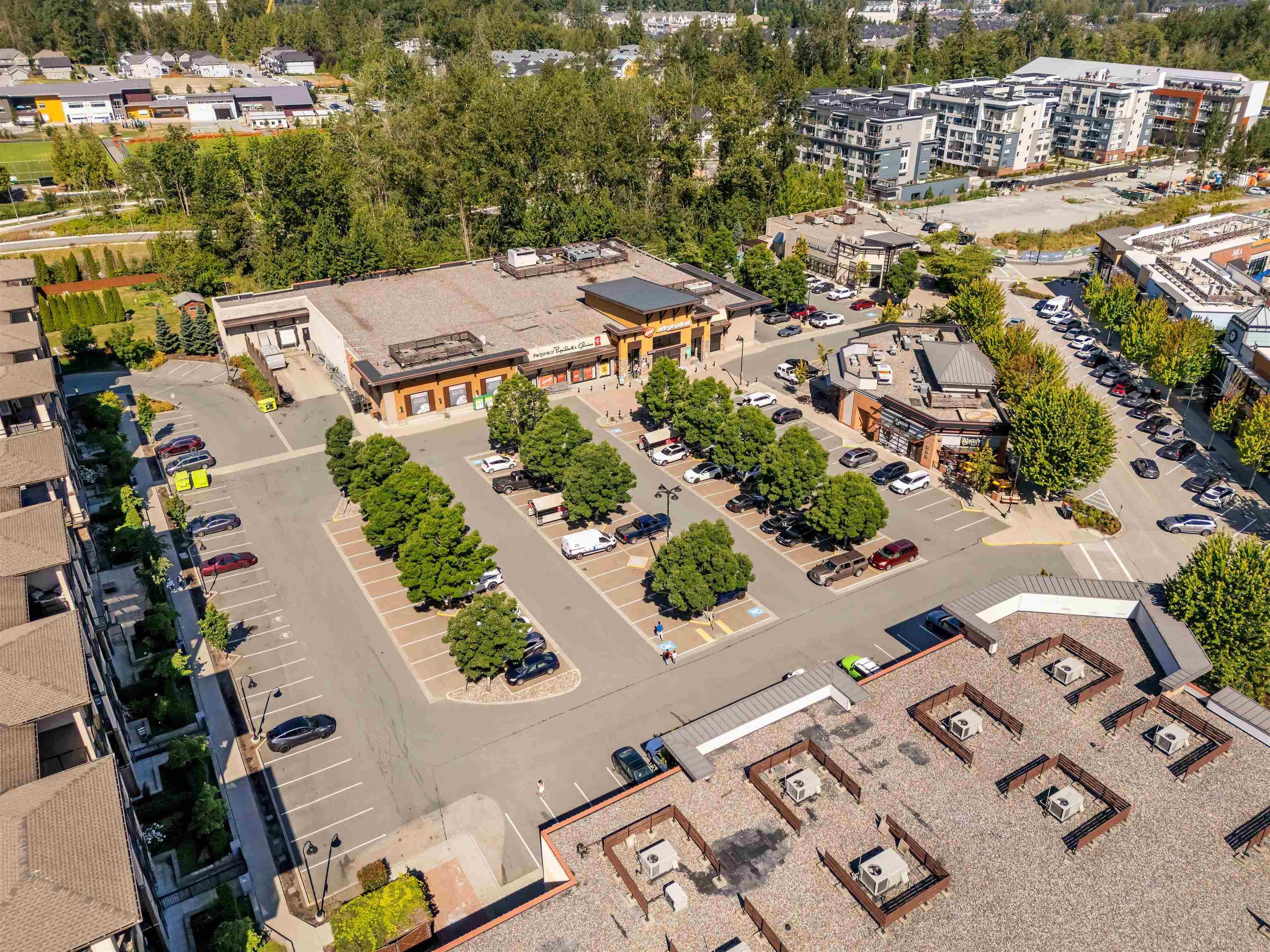 33 - 20856 76 Avenue, Langley, V2Y 0S7 — photo 3