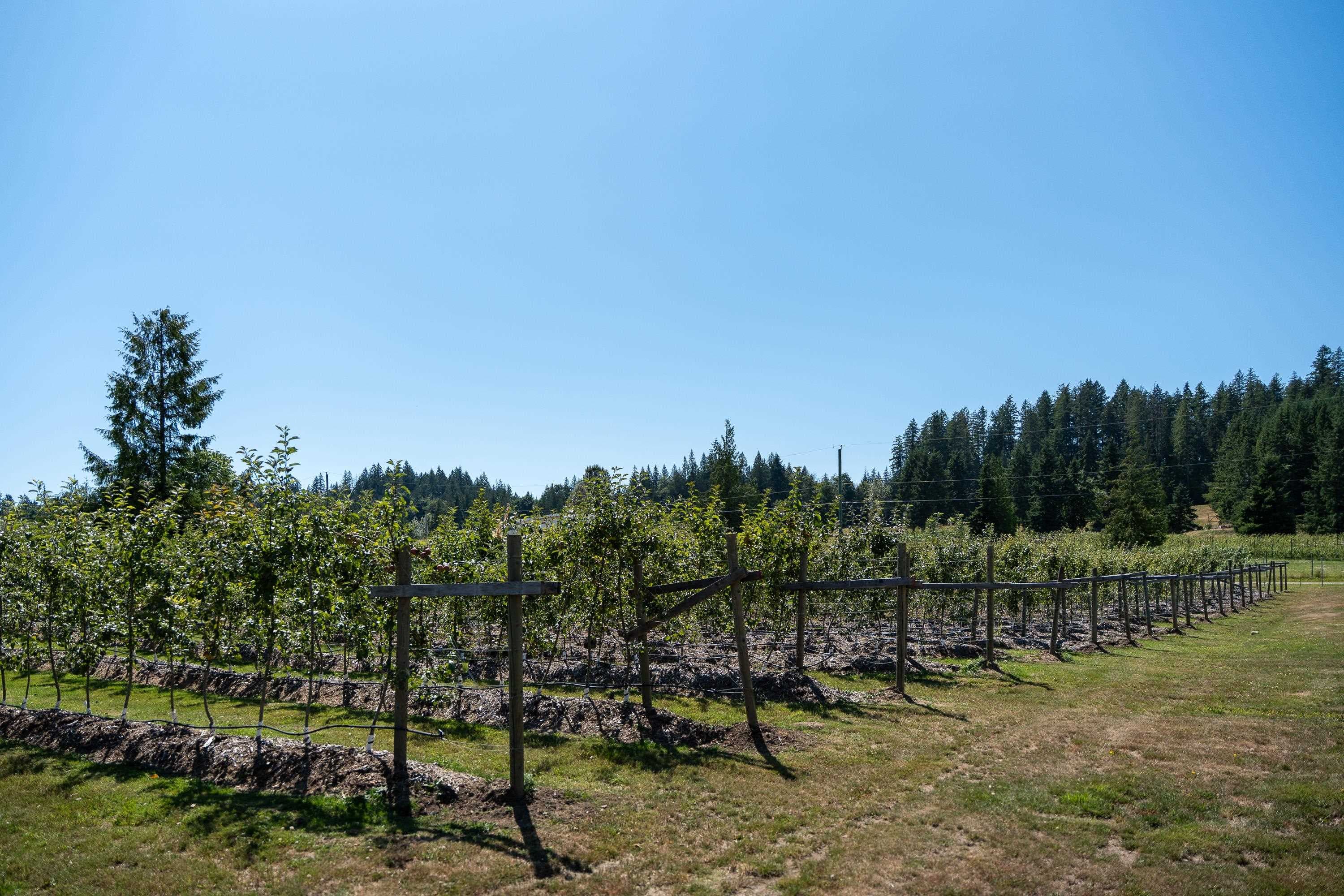 6316 Crowston Road, Sechelt, V7Z 0L1 — photo 5
