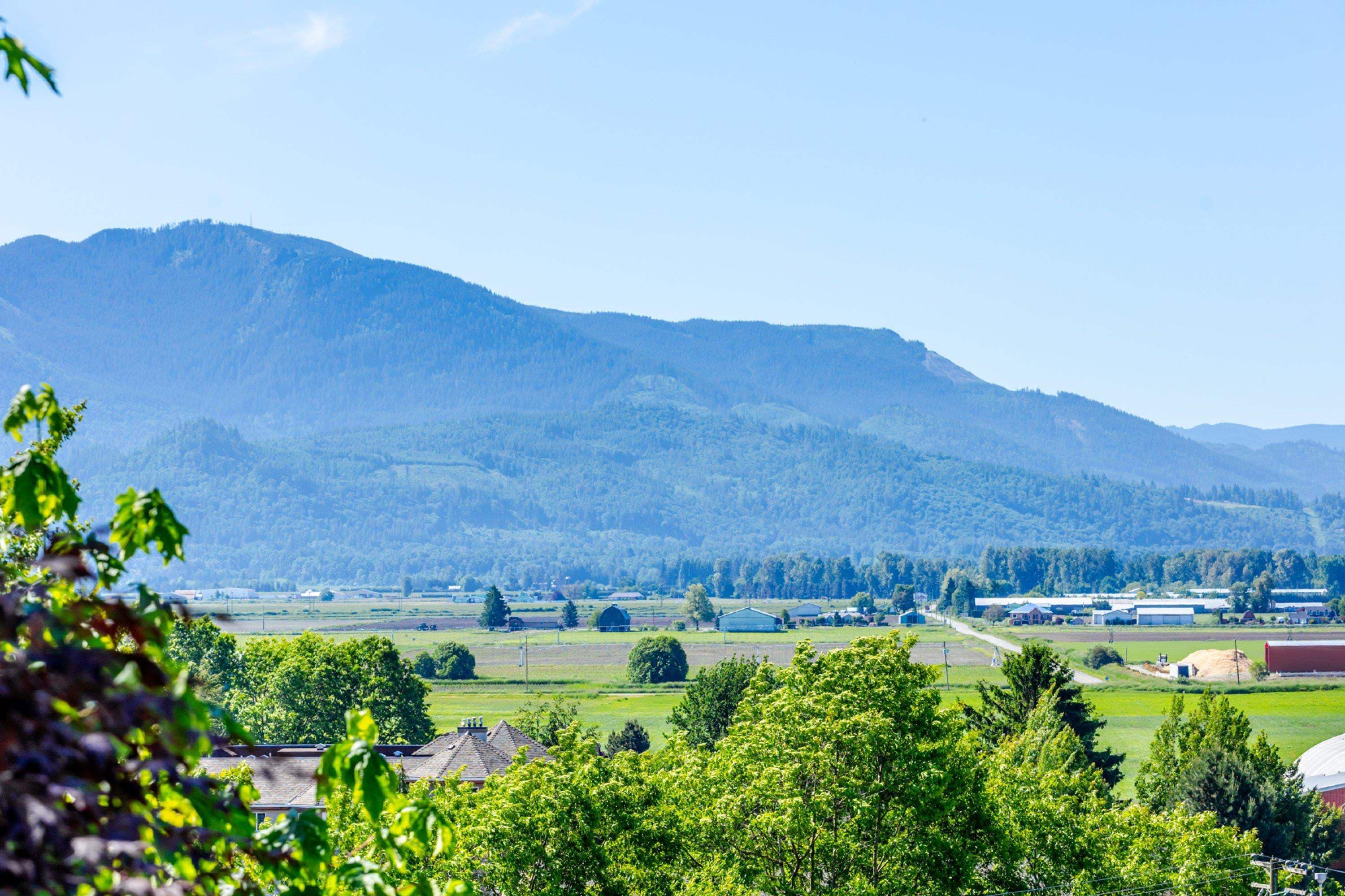 35210 Rockwell Drive, Abbotsford, V3G 2C9 — photo 5