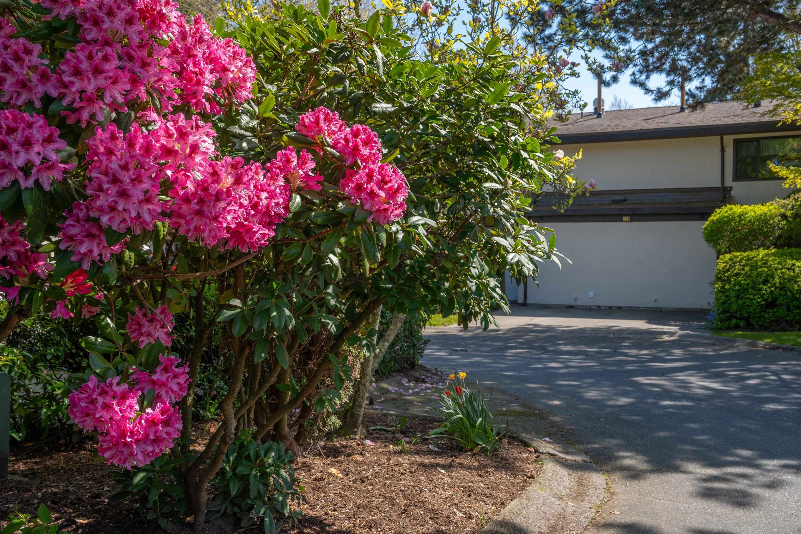 71 - 11491 7th Avenue, Richmond, V7E 4J5 — photo 2