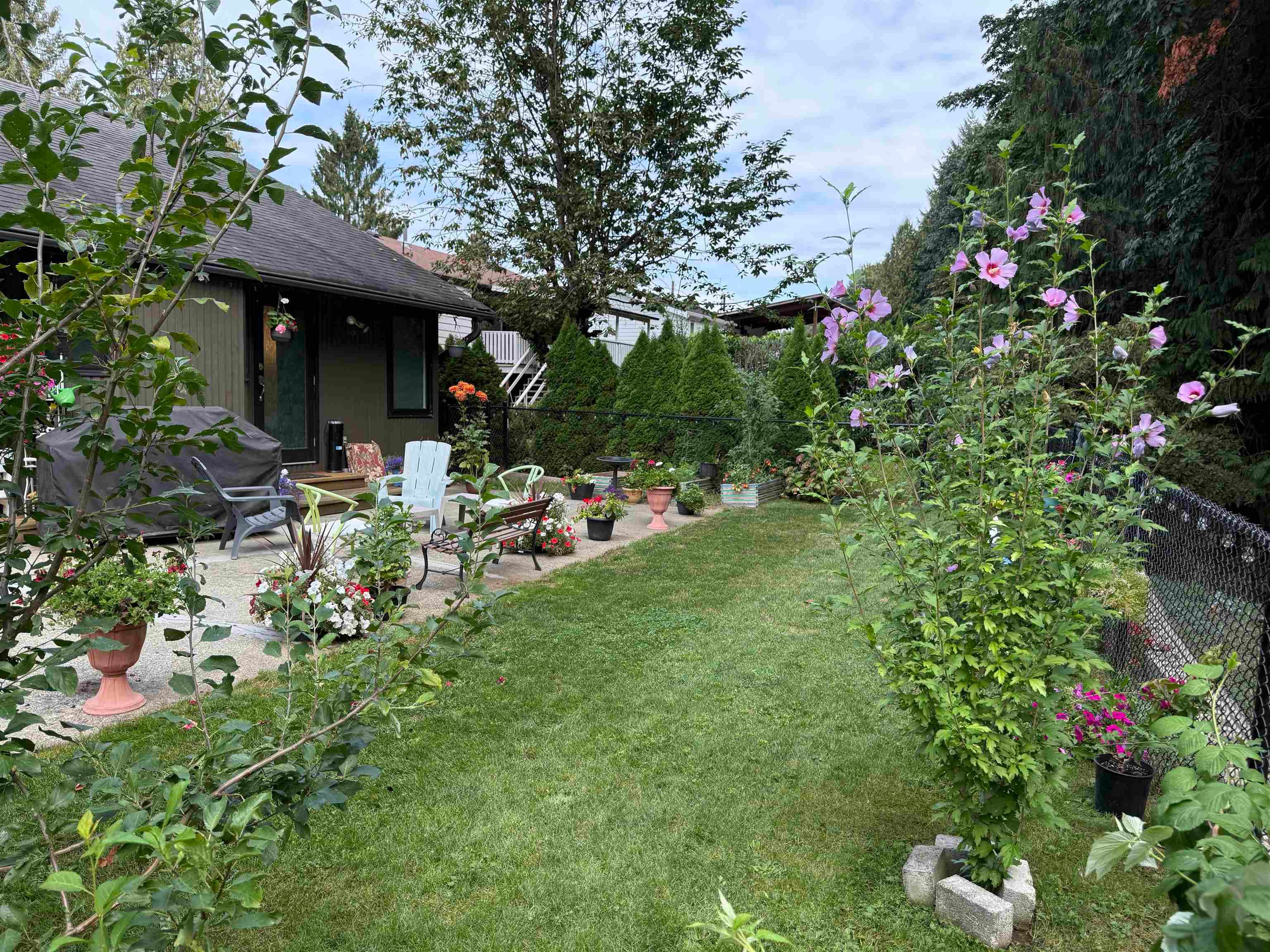 35004 Laburnum Avenue, Abbotsford, V2S 5M7 — photo 4